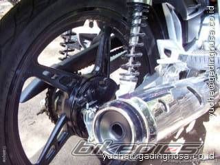 Photo 1074531