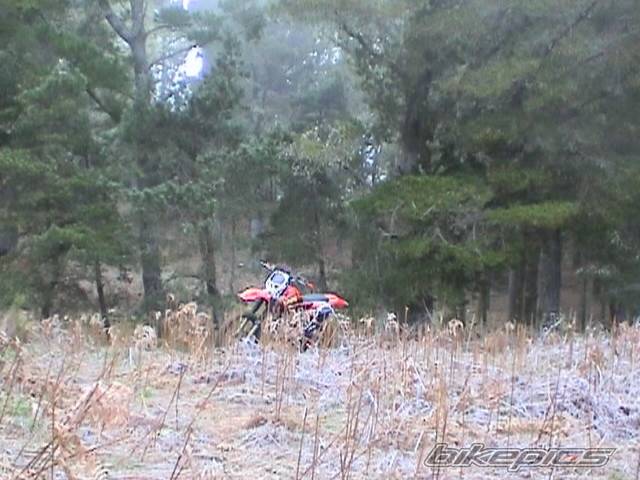 Photo 107456