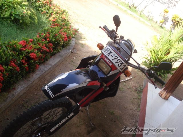 Photo 1074579