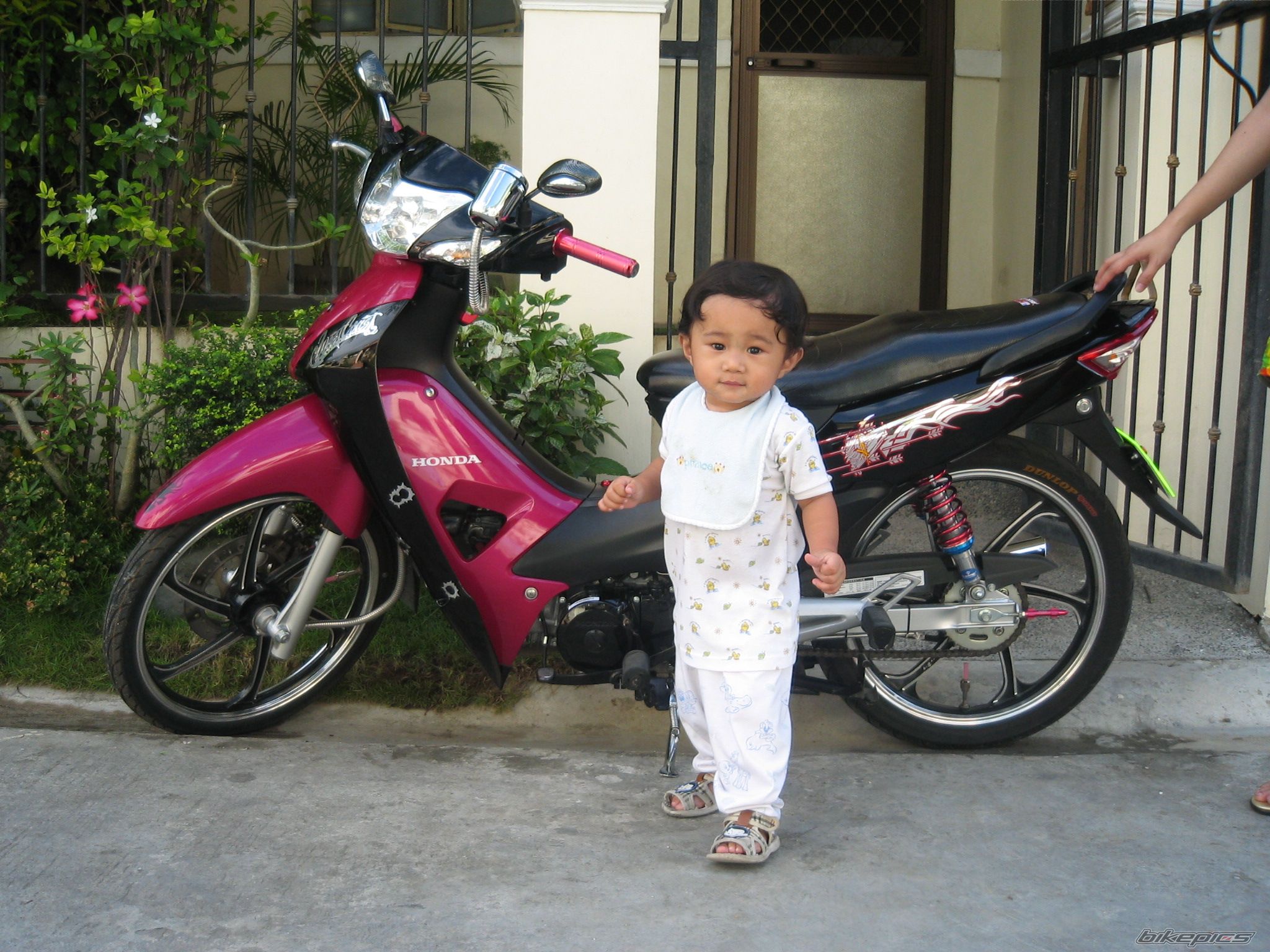 Photo 1074716