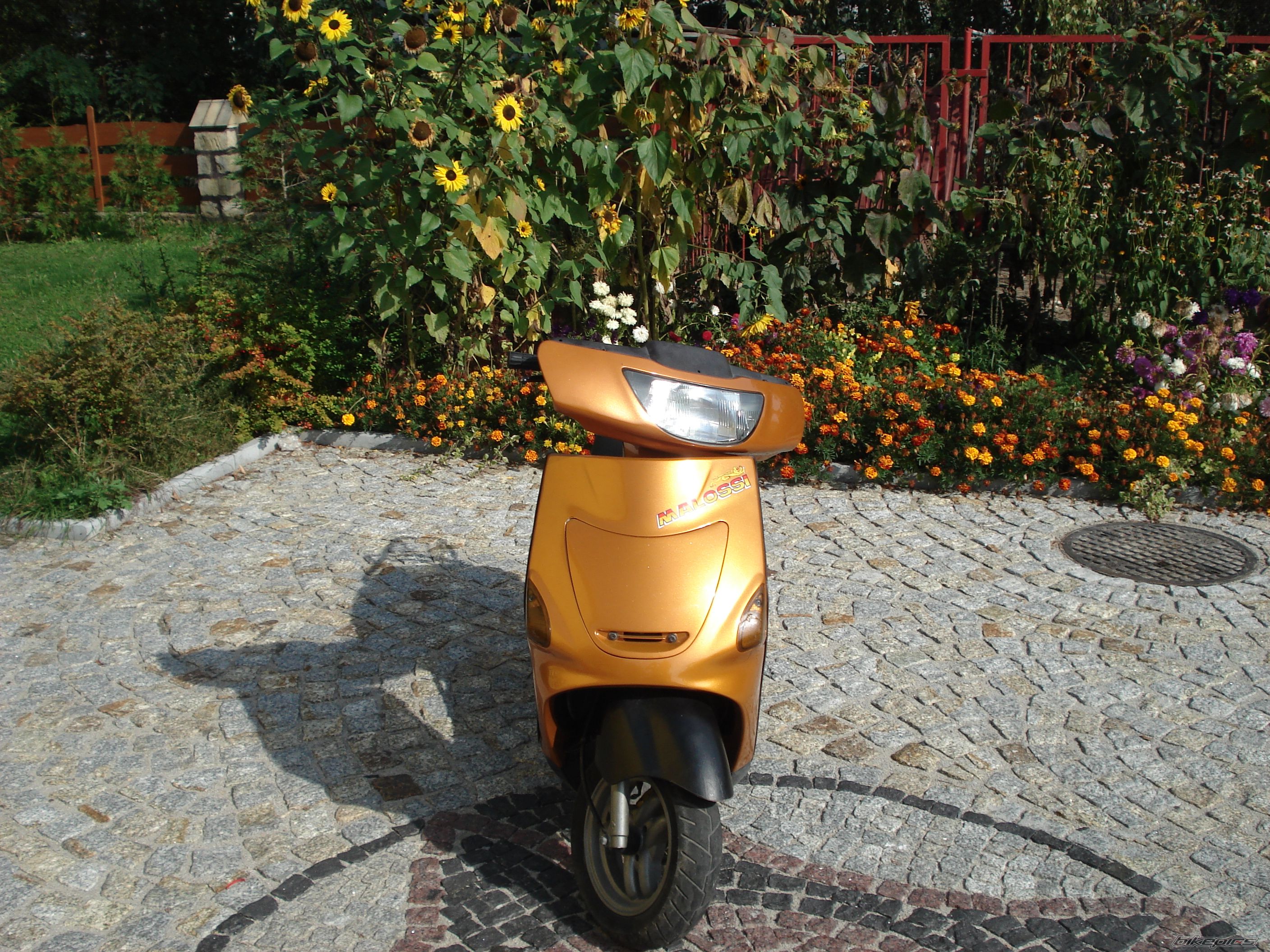 Bike Photo 1074773