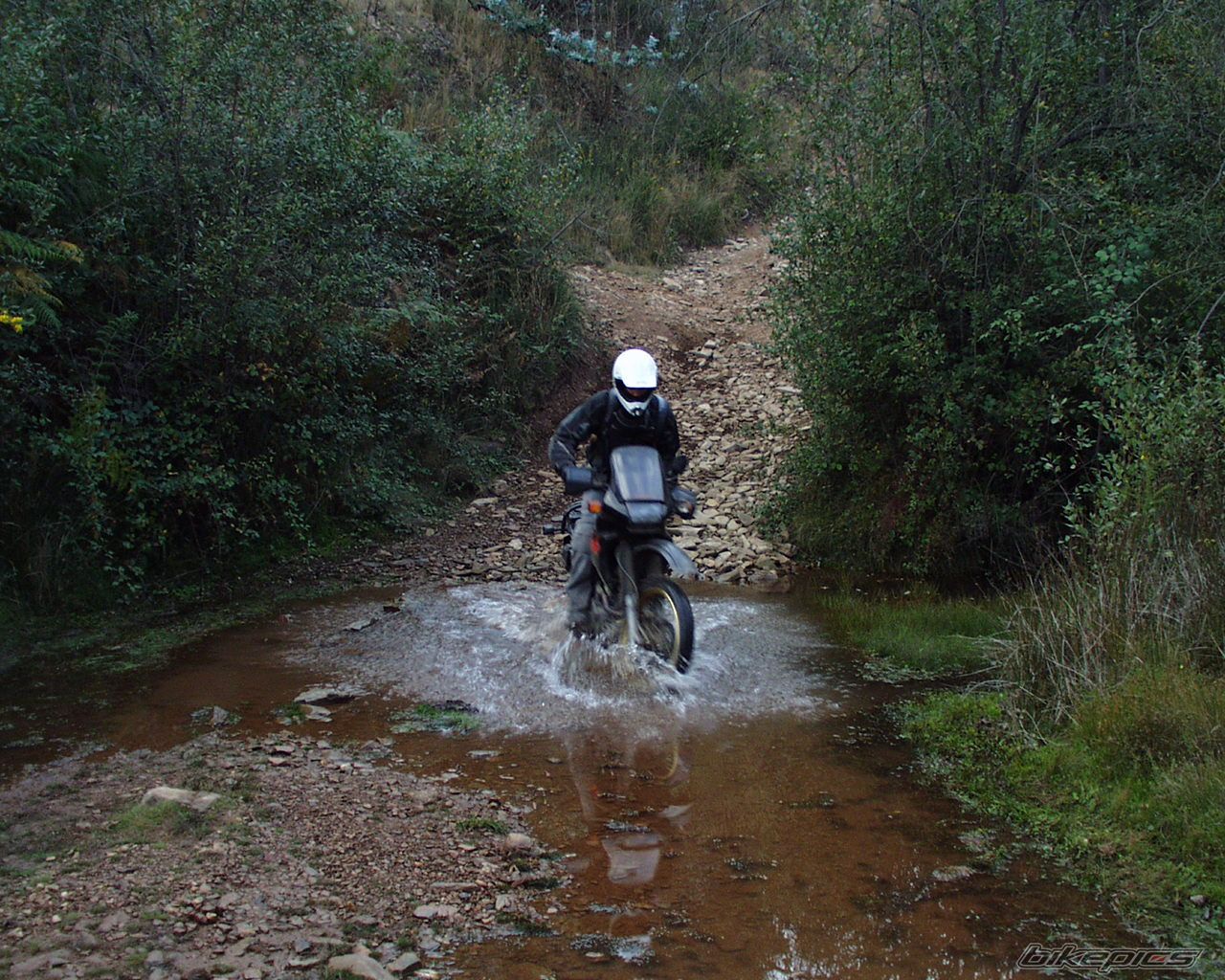Bike Photo 1074964