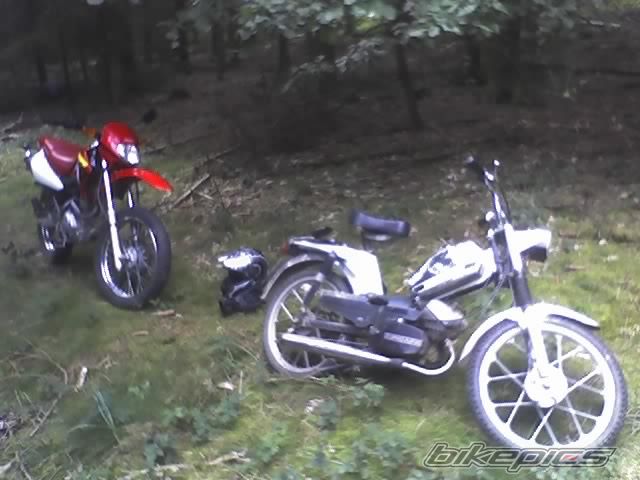 Photo 1075000