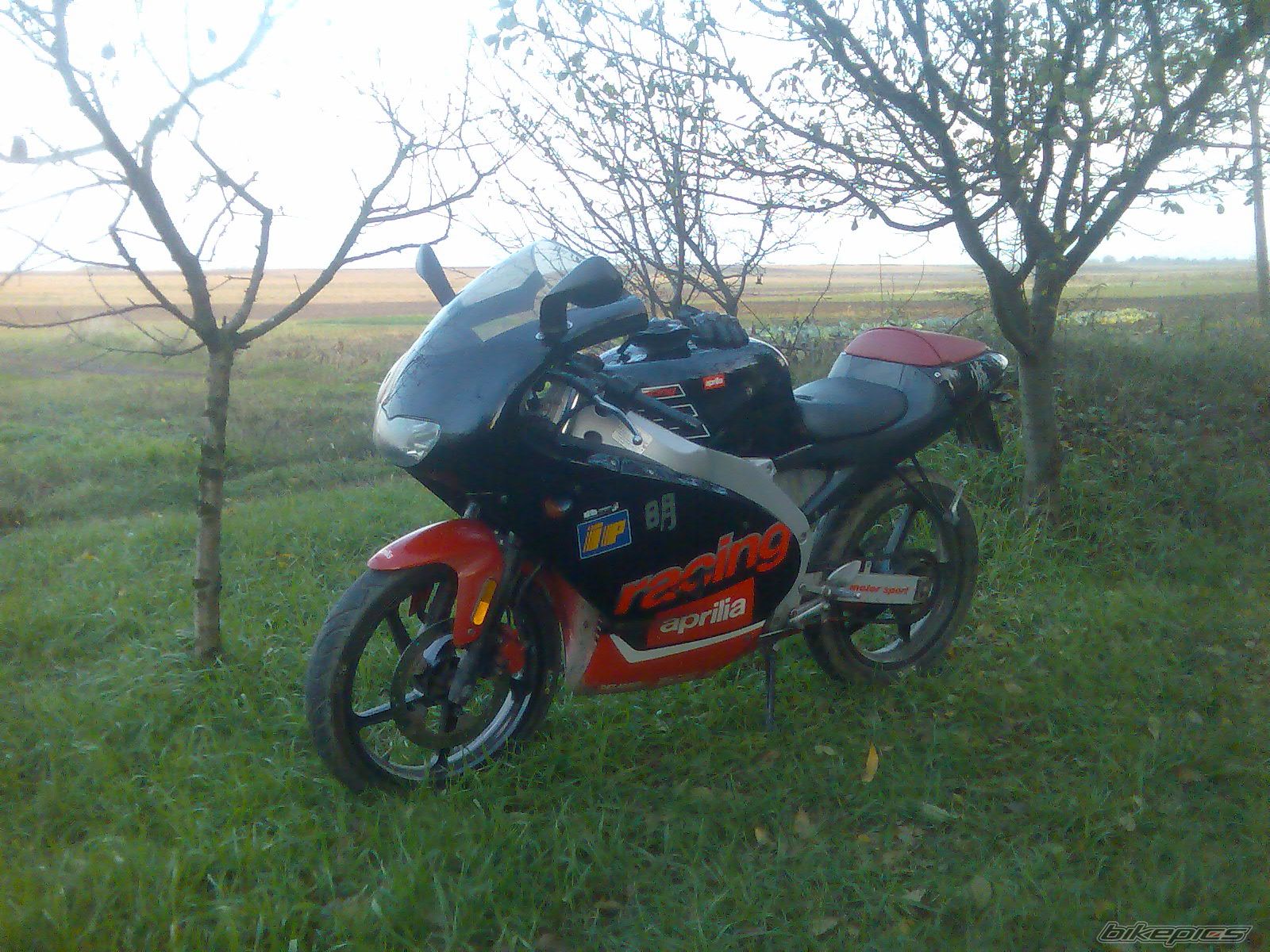 Photo 1075091