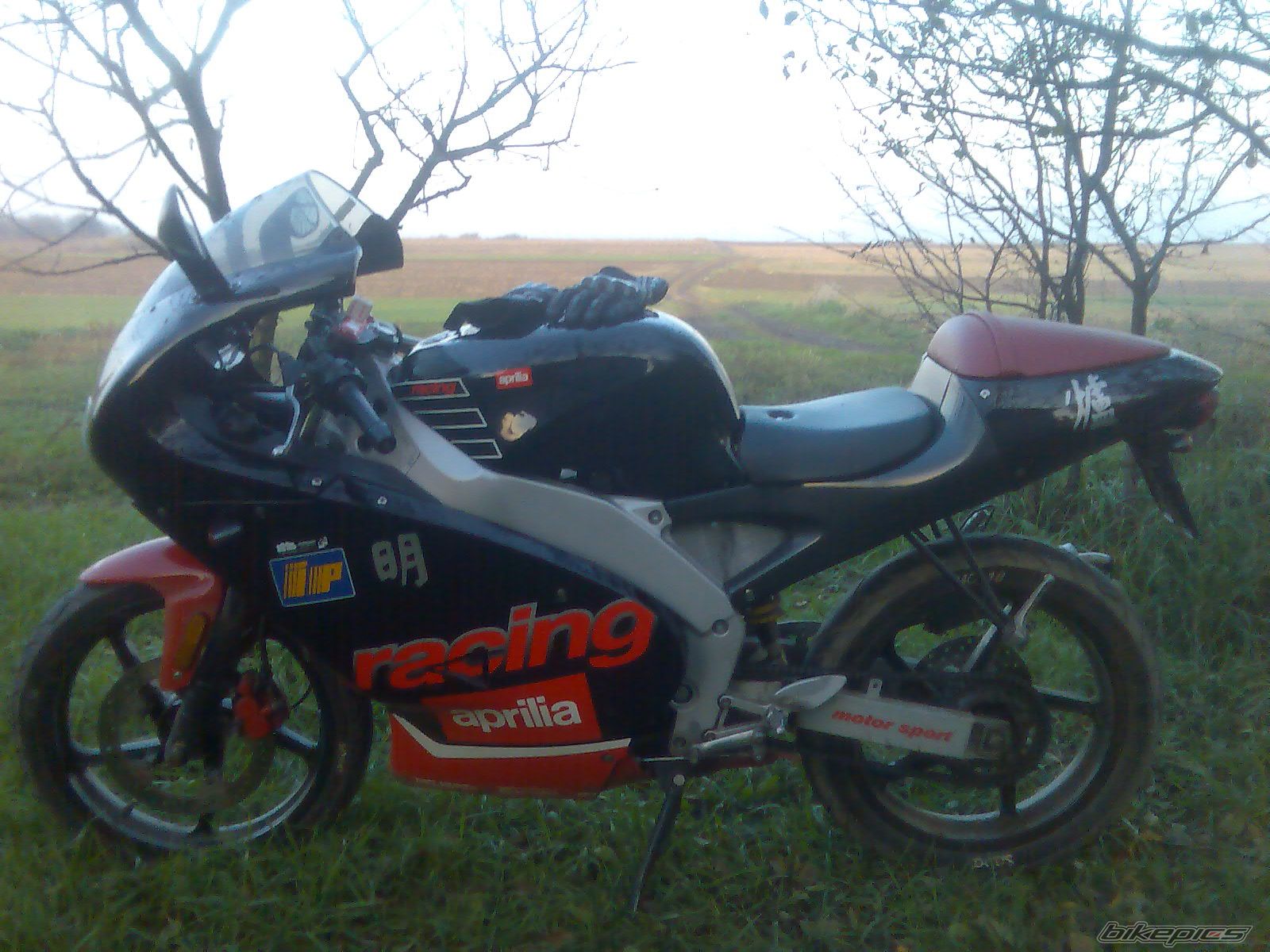 Photo 1075097