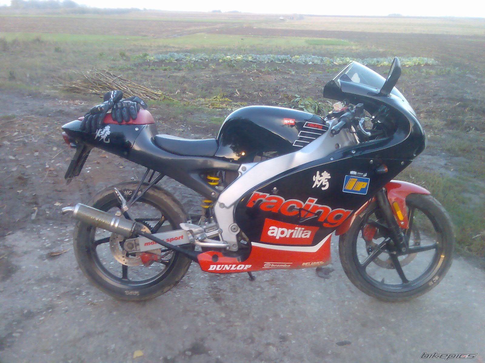 Photo 1075105
