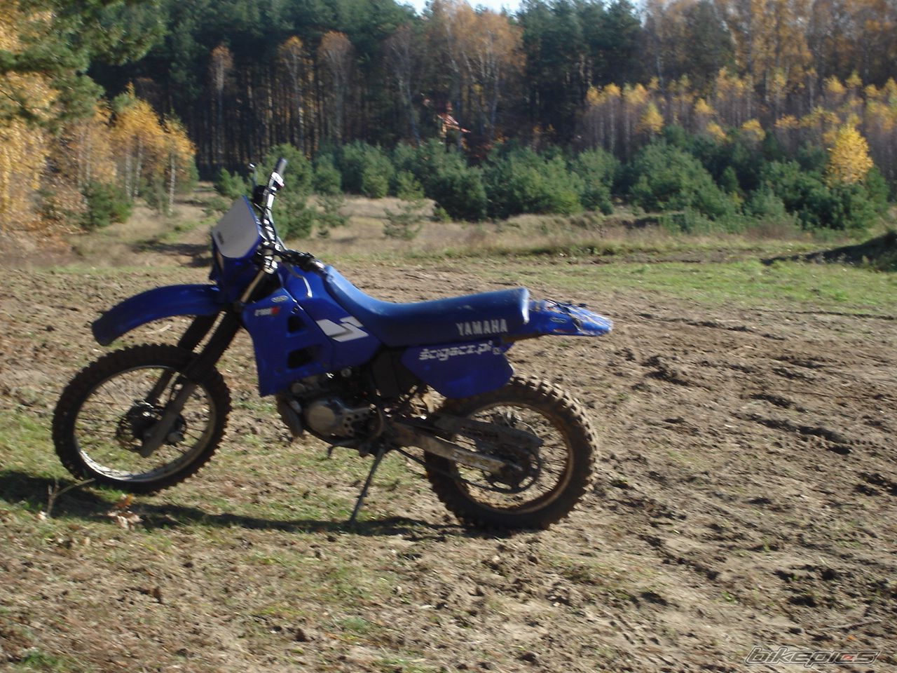 Photo 1075131