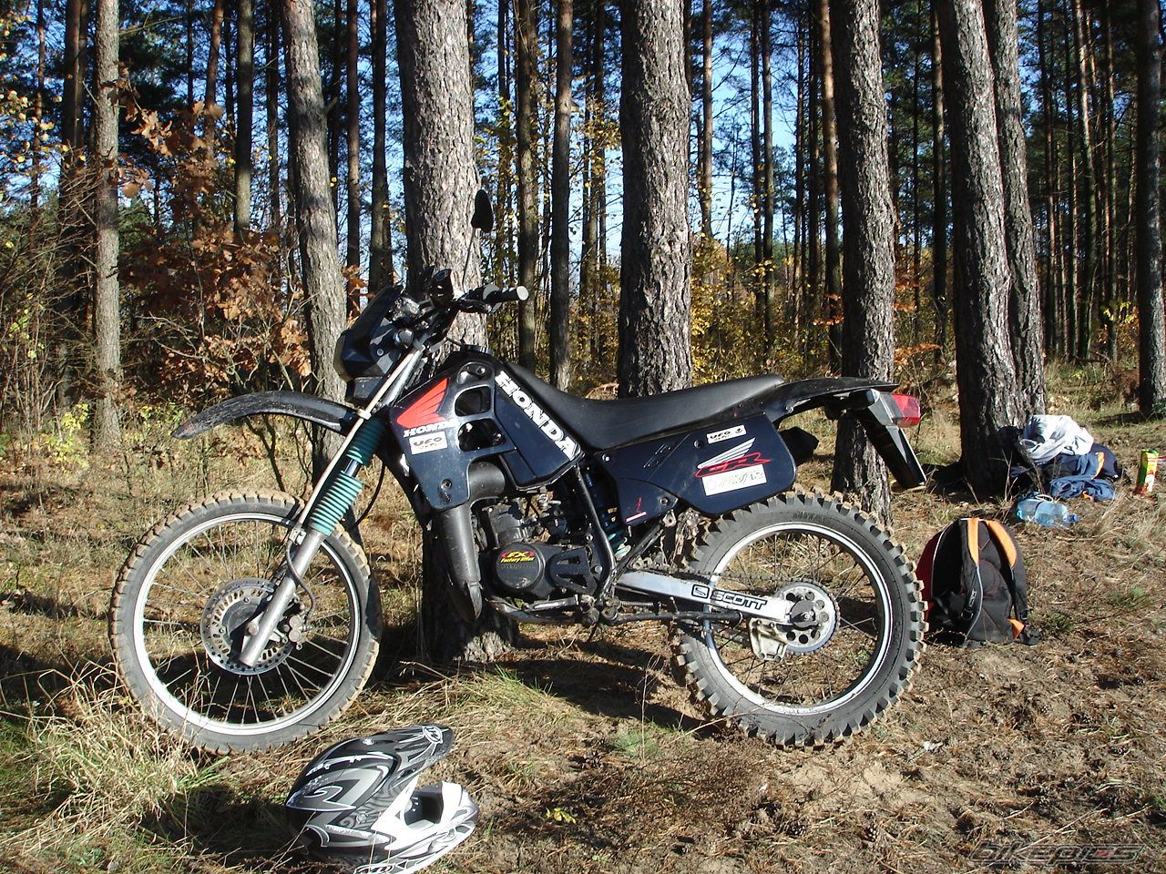 Photo 1075153