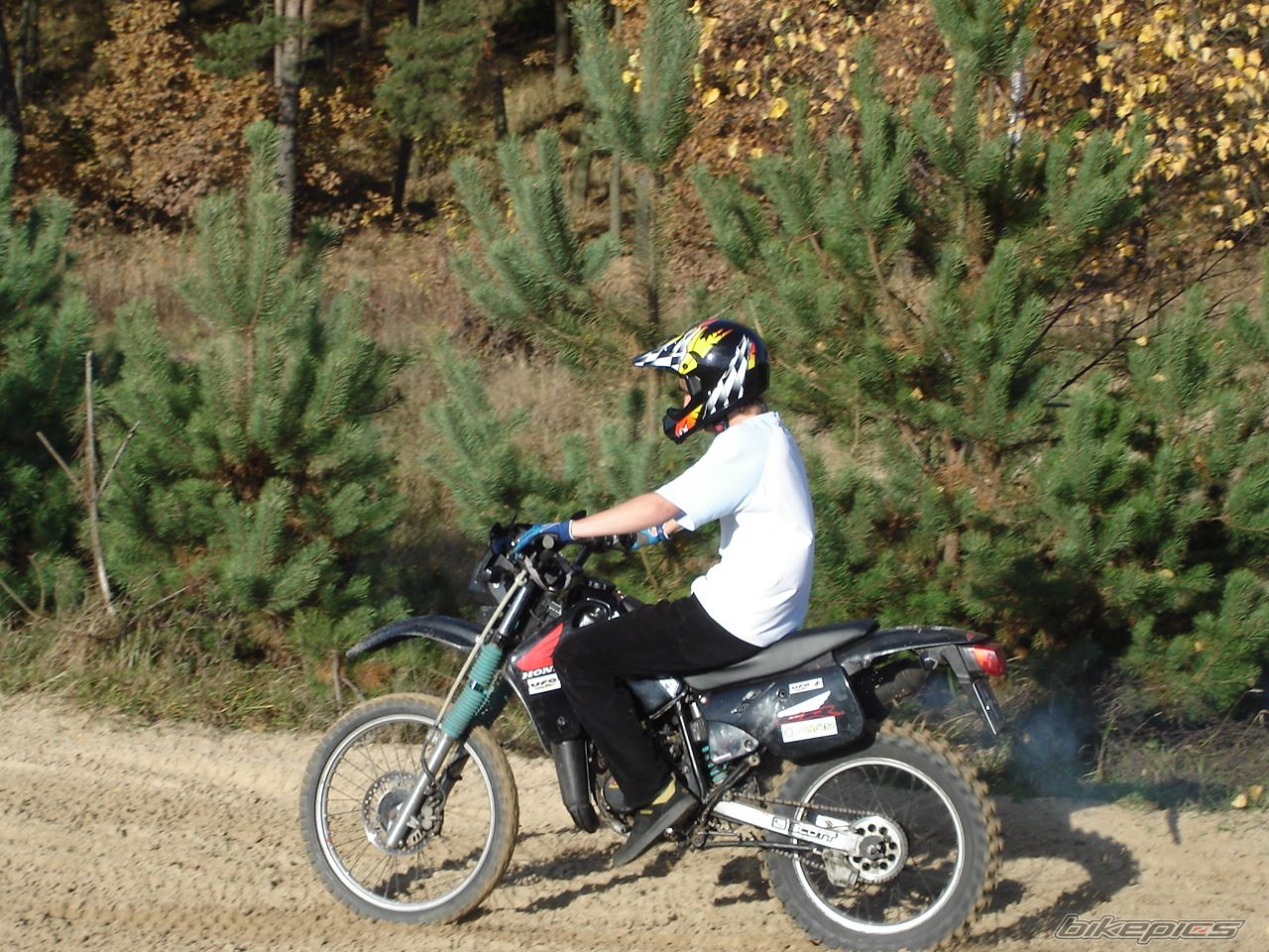 Photo 1075168