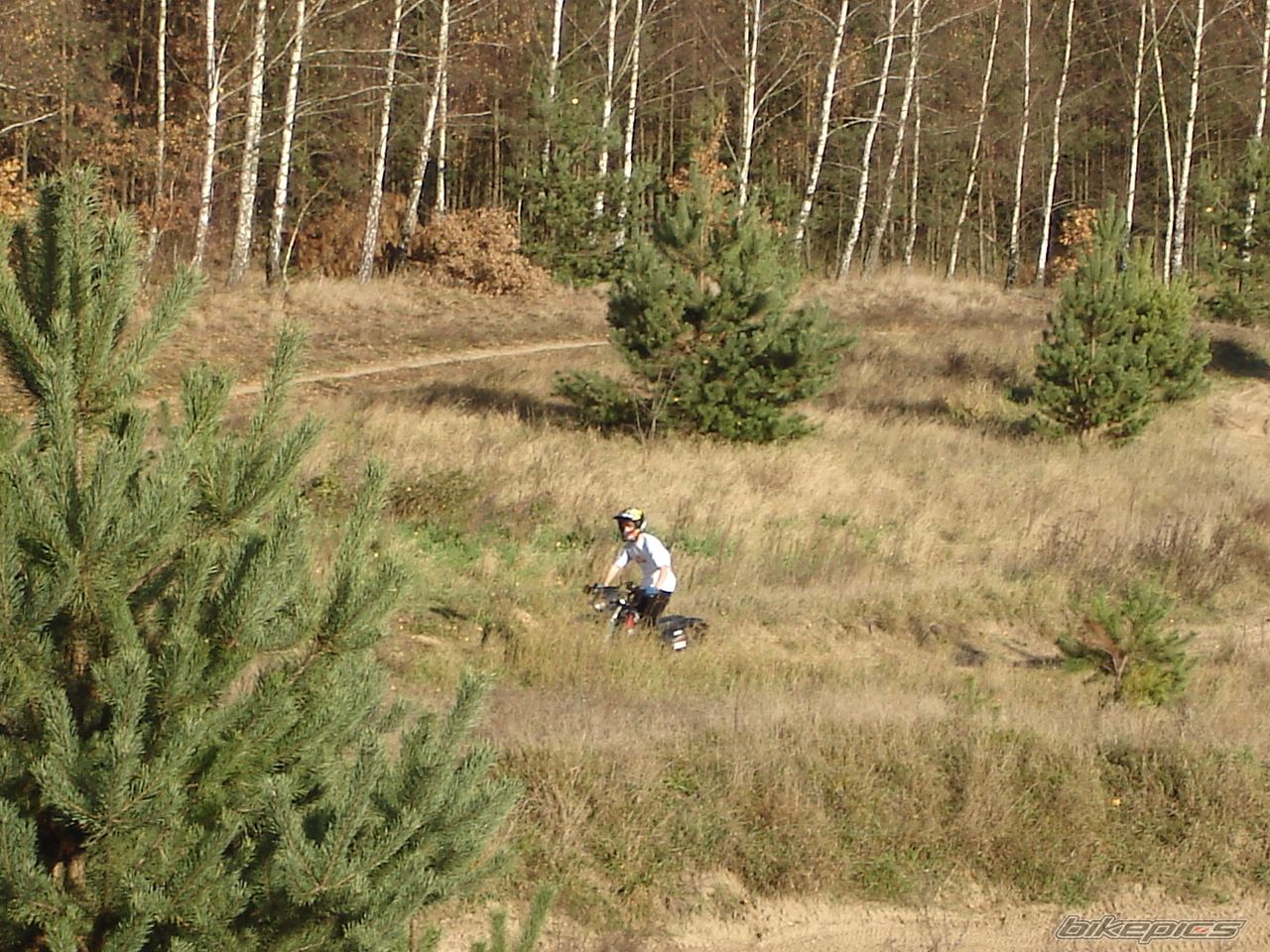 Photo 1075190