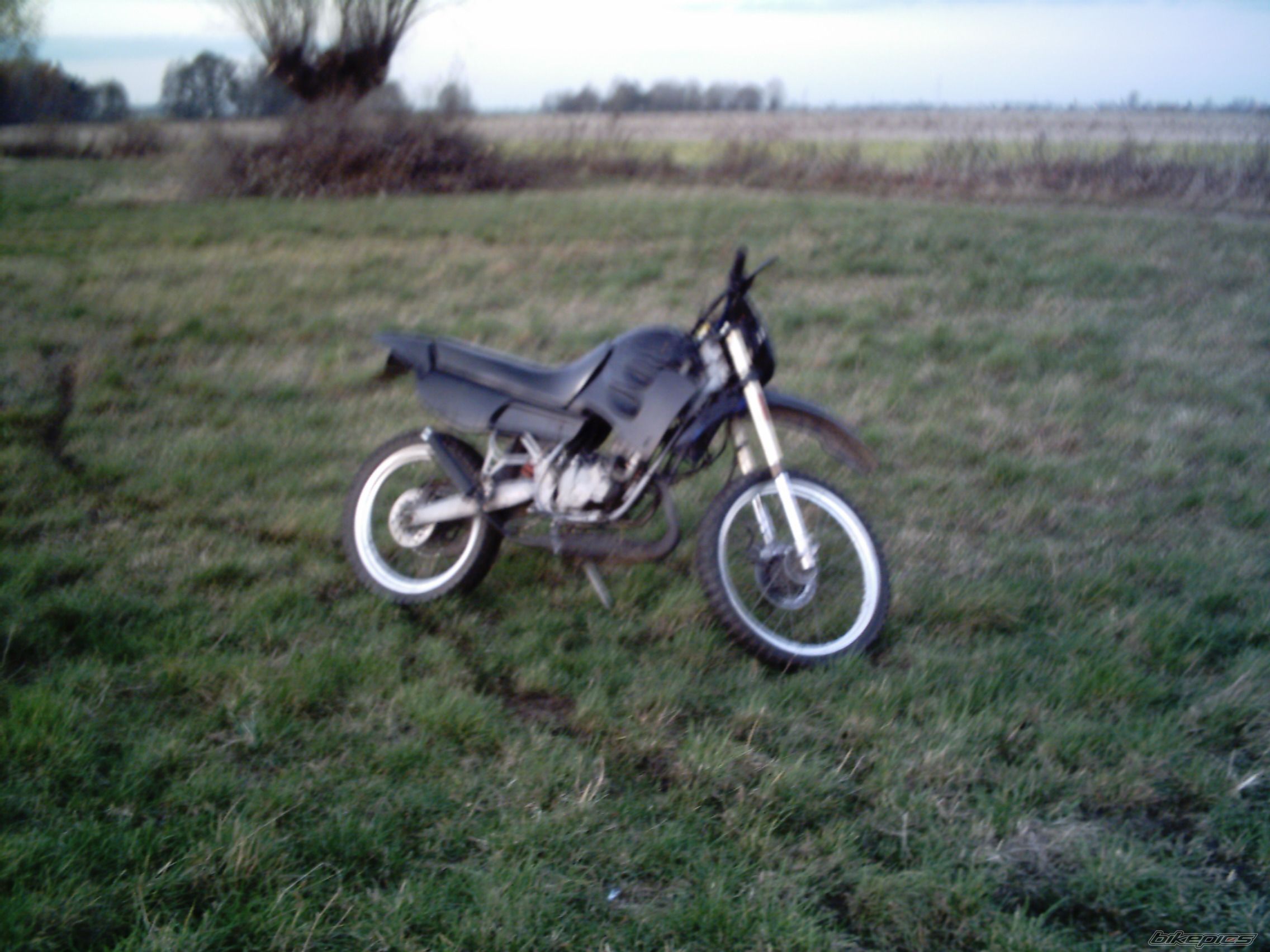 Photo 1075197