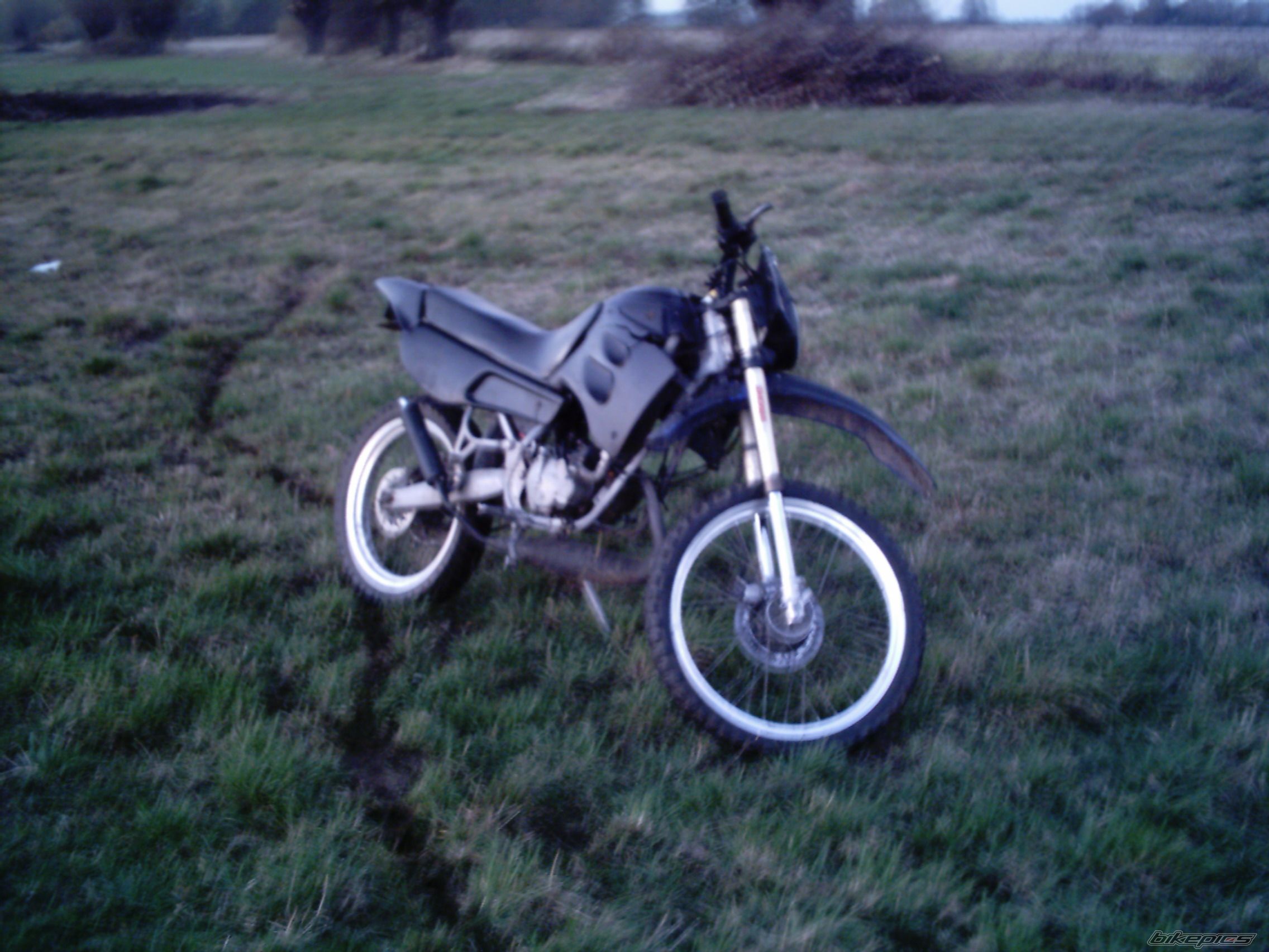 Photo 1075201