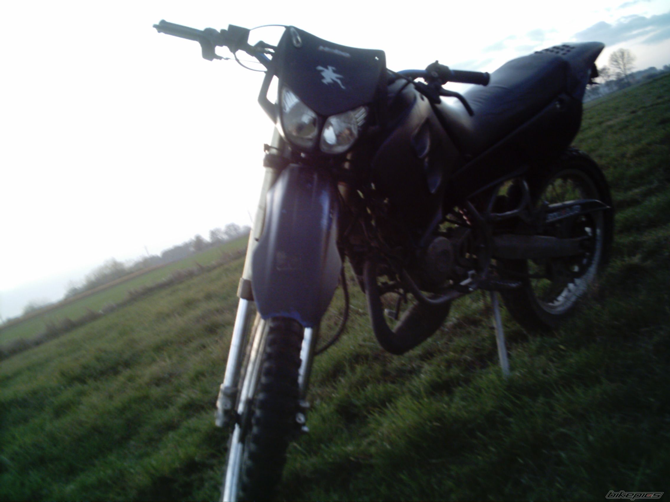 Photo 1075224