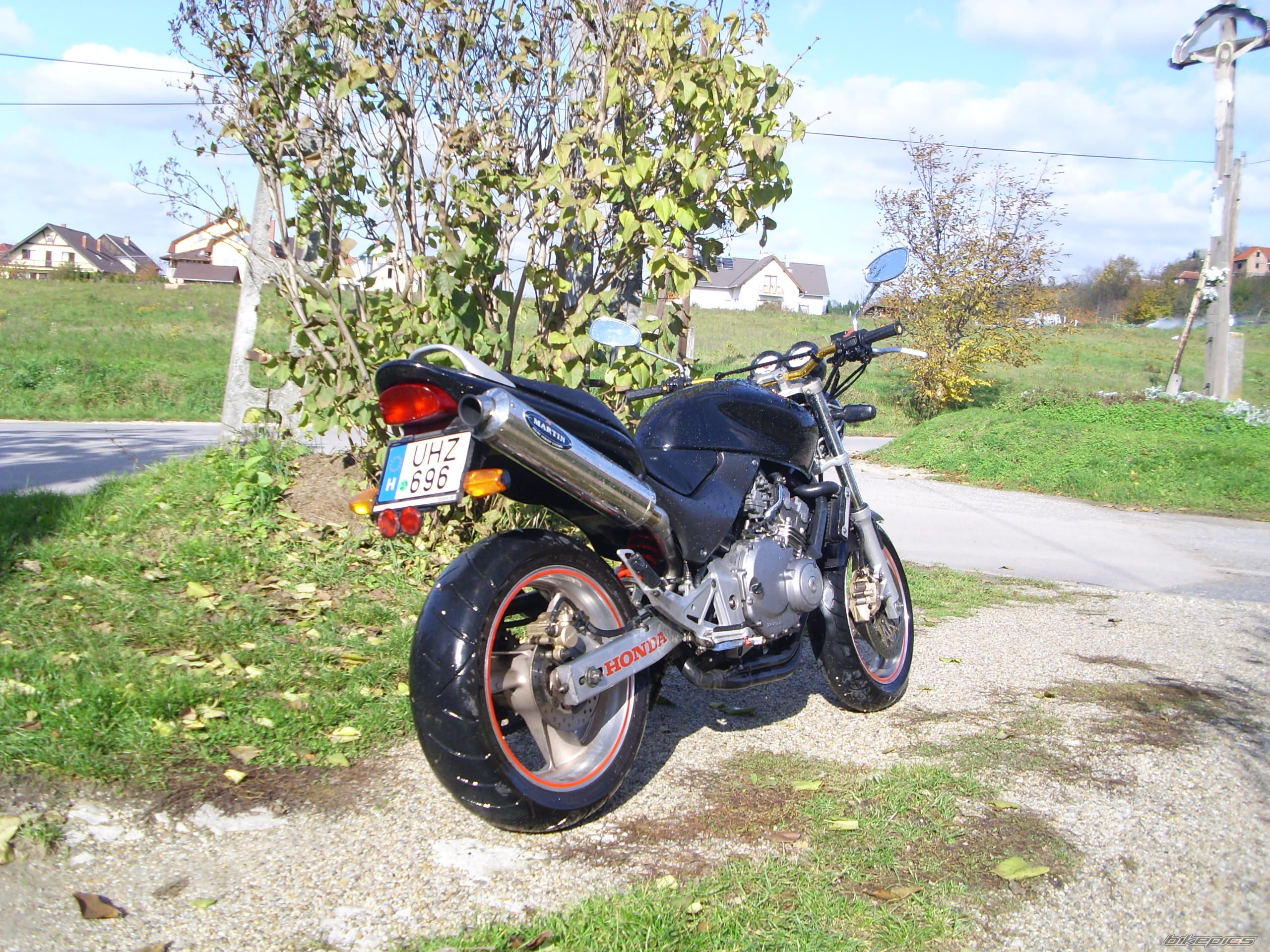 Photo 1075227