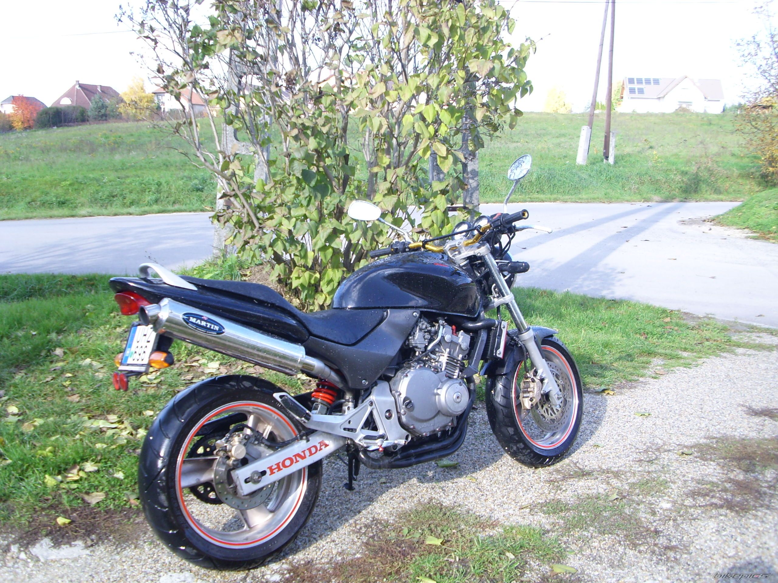 Photo 1075234