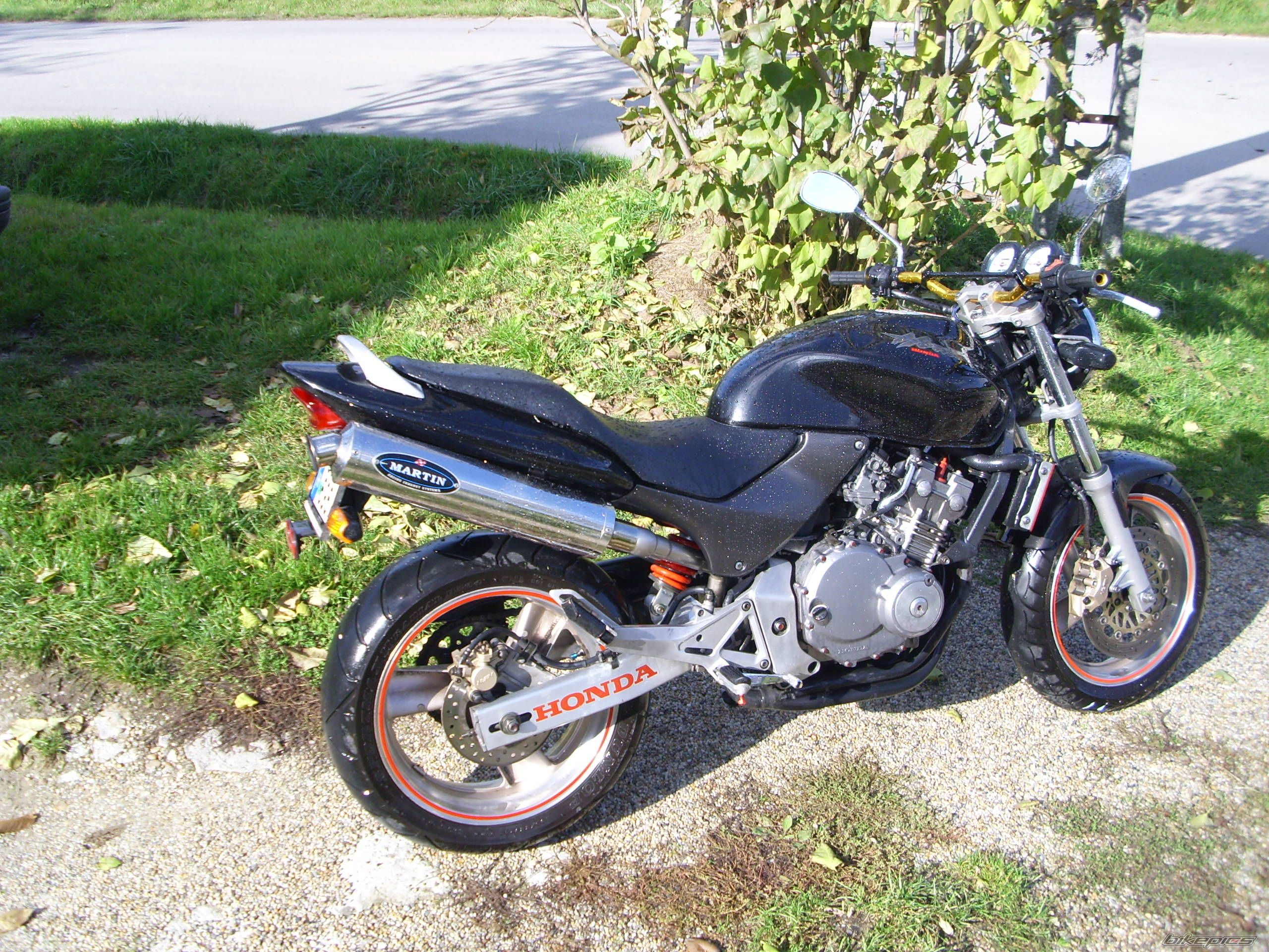 Photo 1075237
