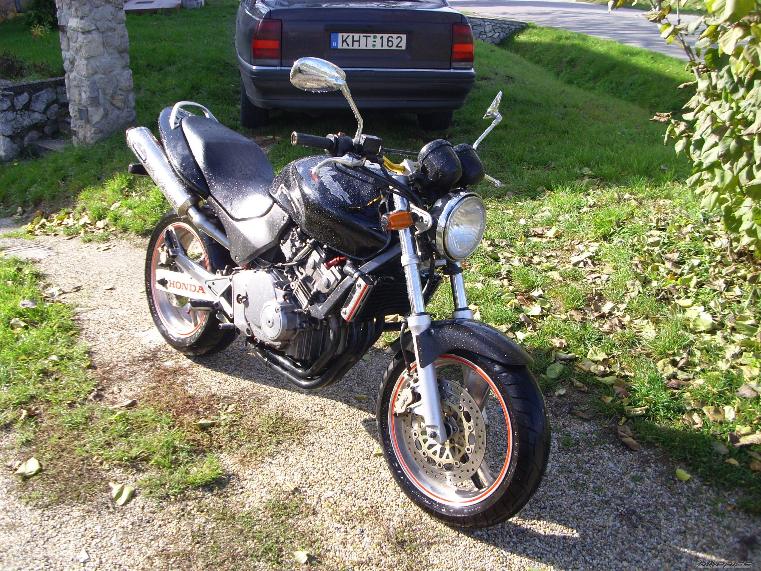 Photo 1075243