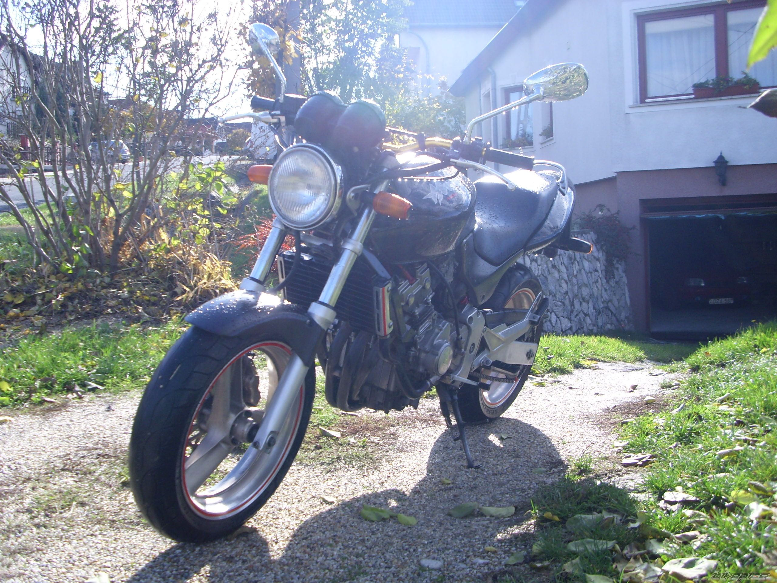 Photo 1075248