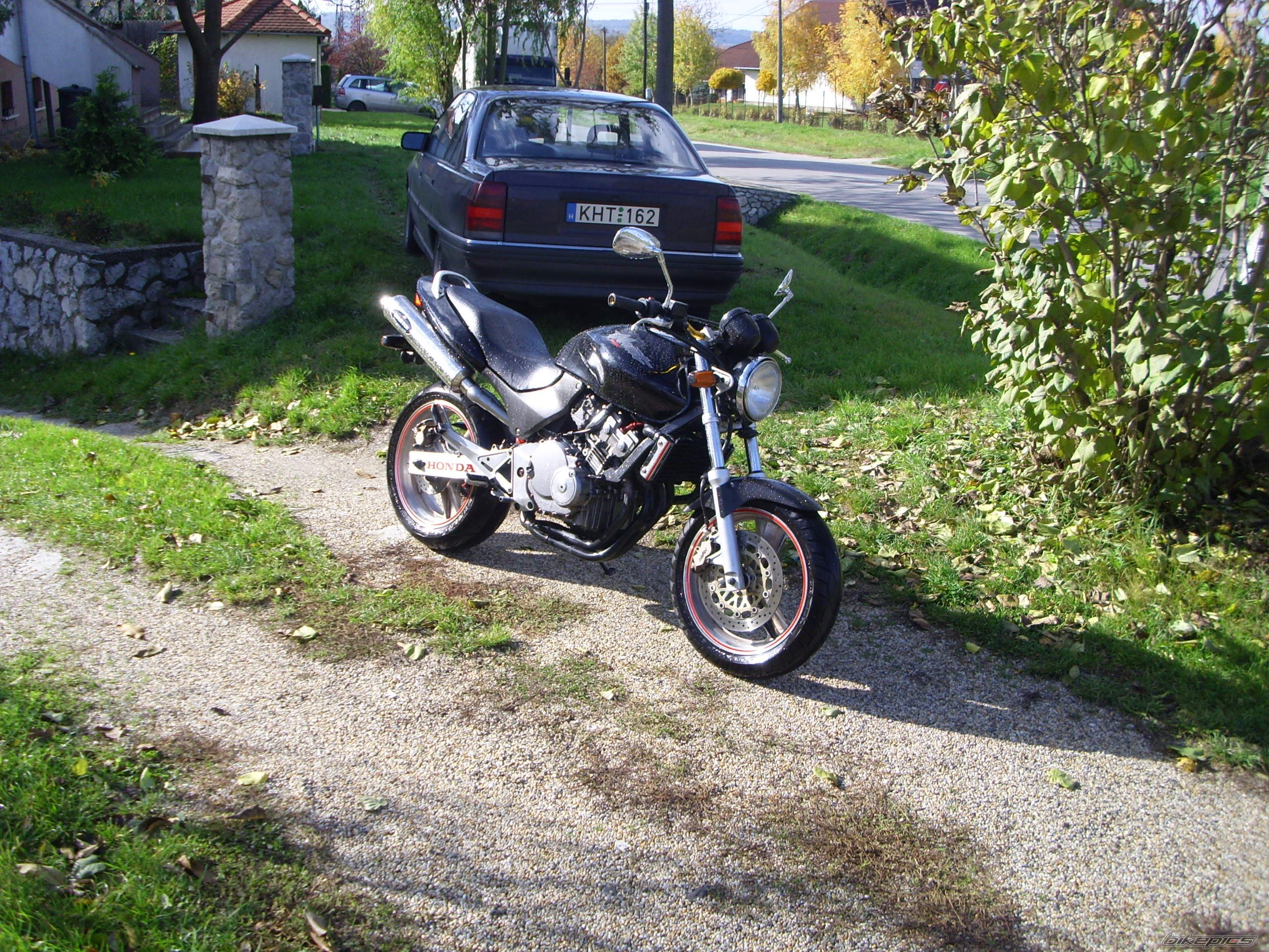 Photo 1075278