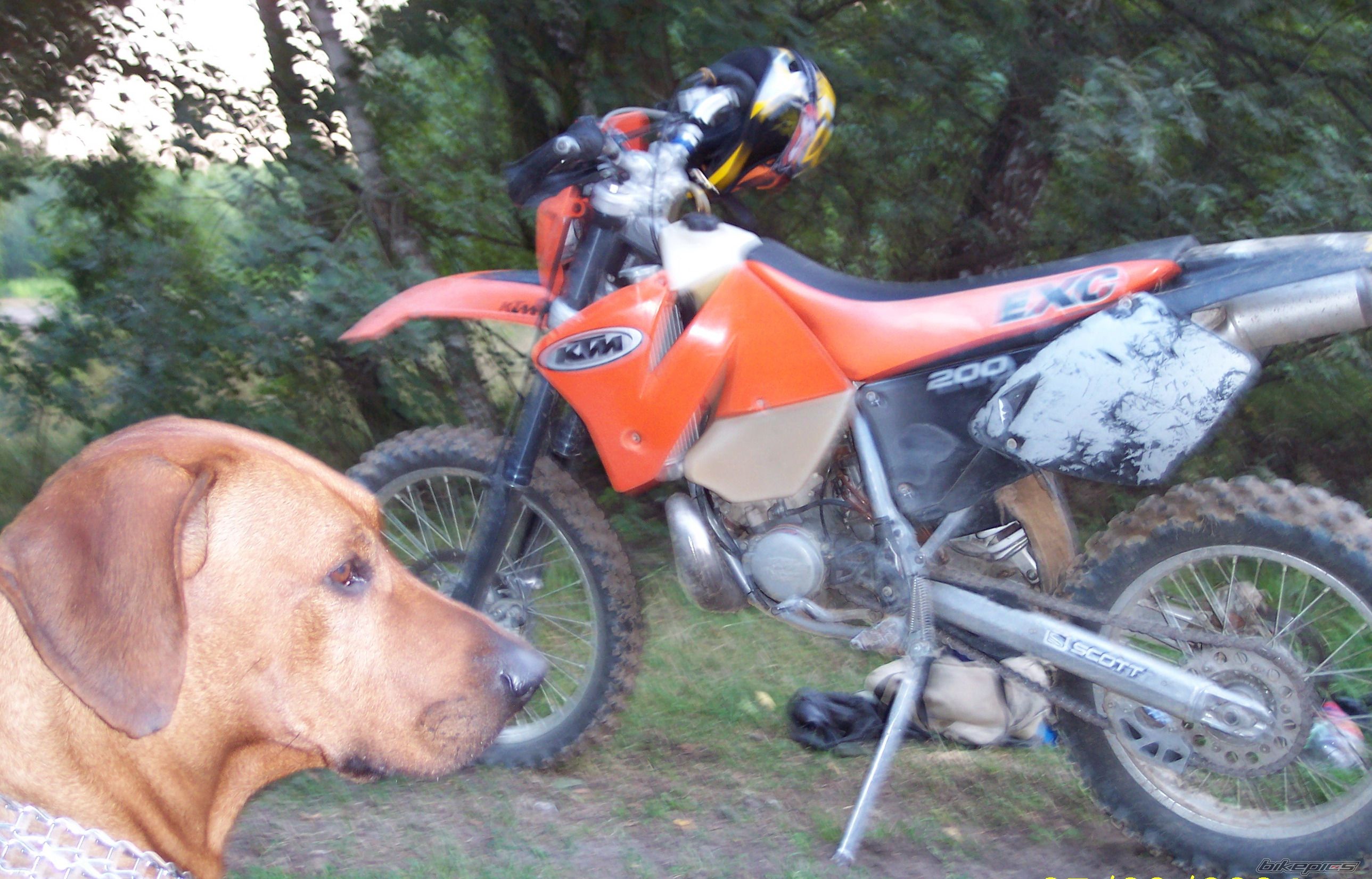 Bike Photo 1075534