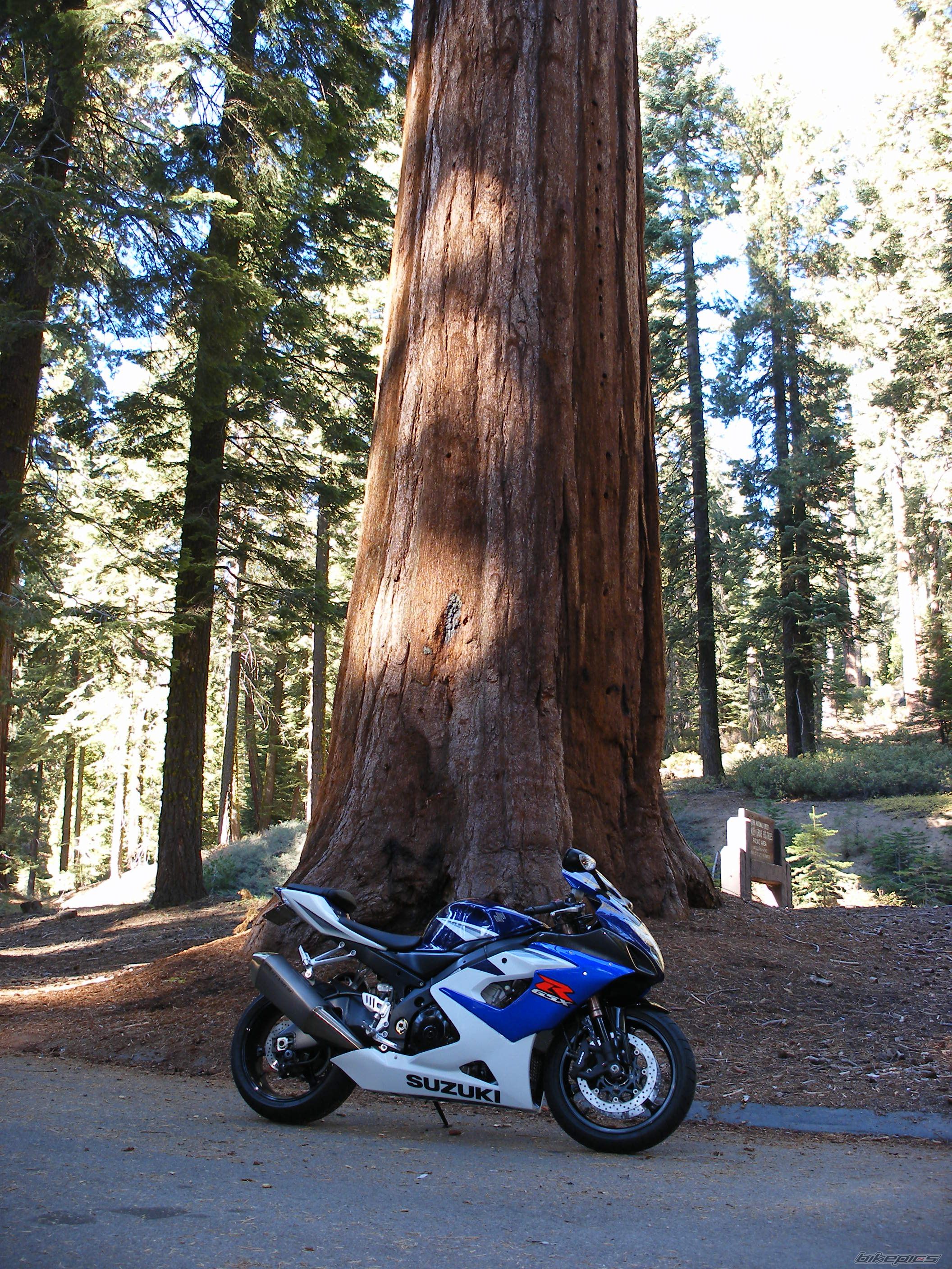 Photo 1075551