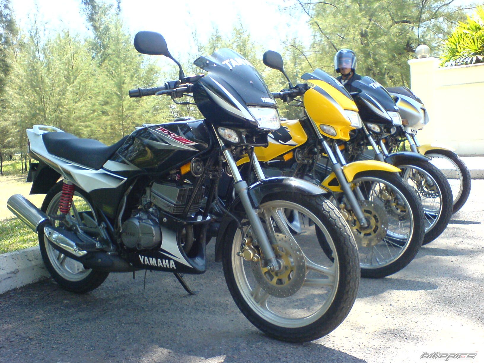 Photo 1075563