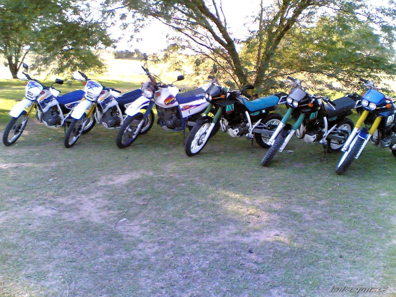 Photo 1075572