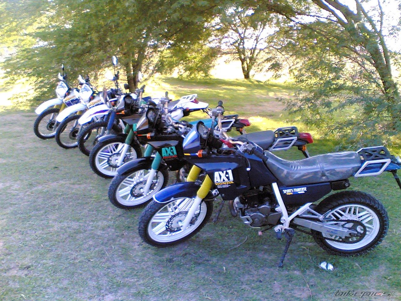 Photo 1075584