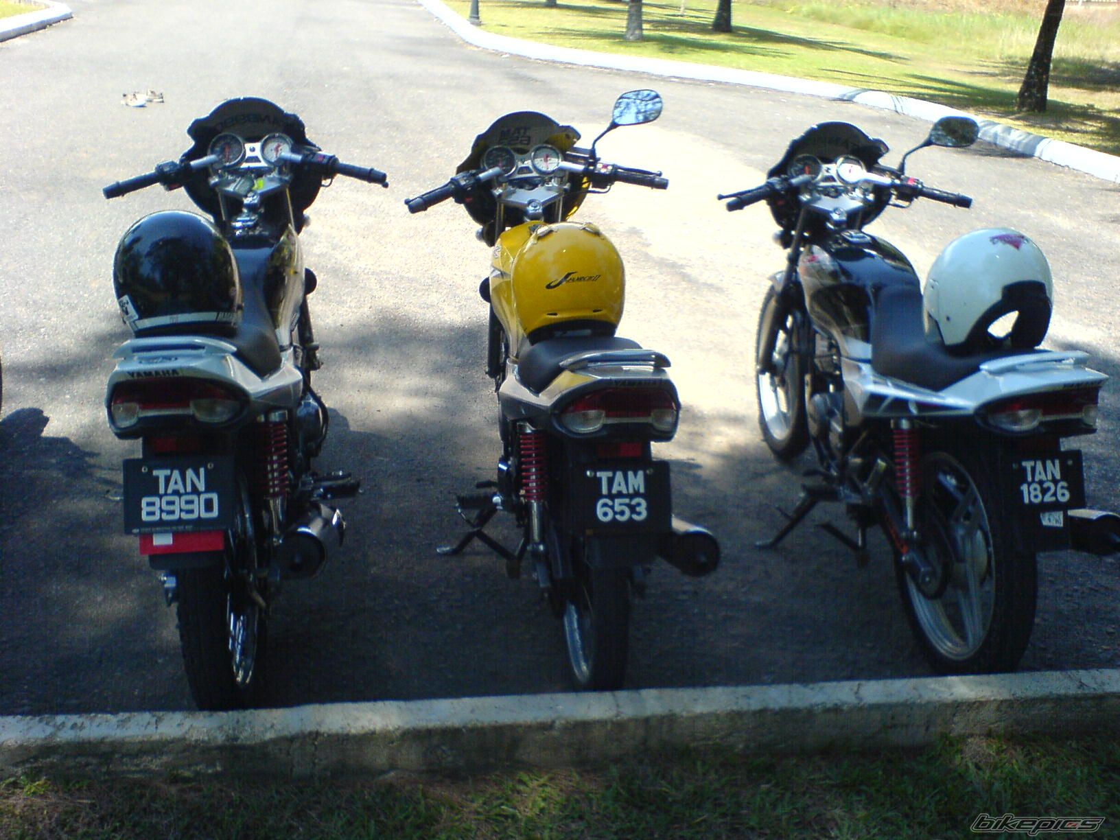 Photo 1075586