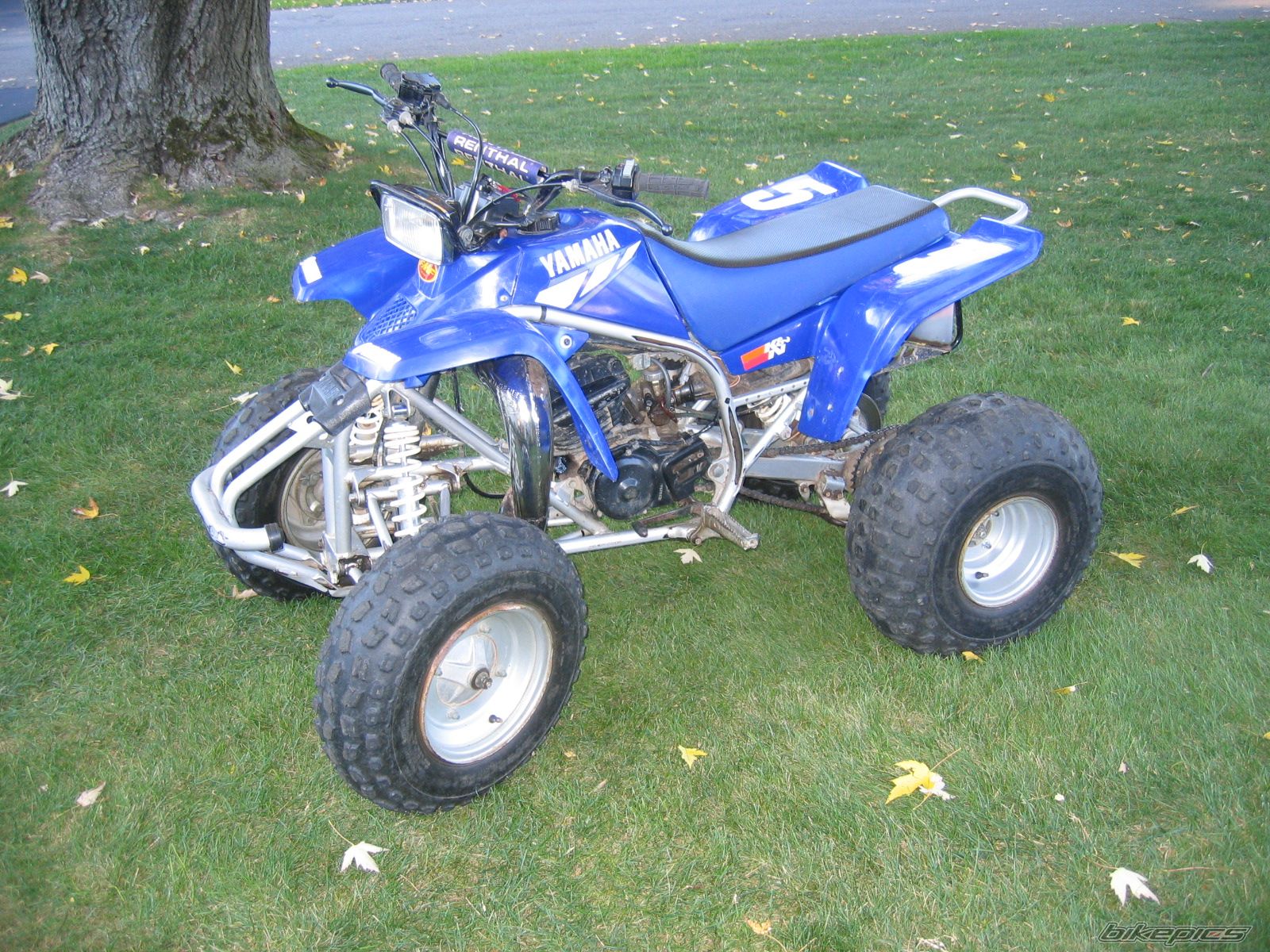 Photo 1075716
