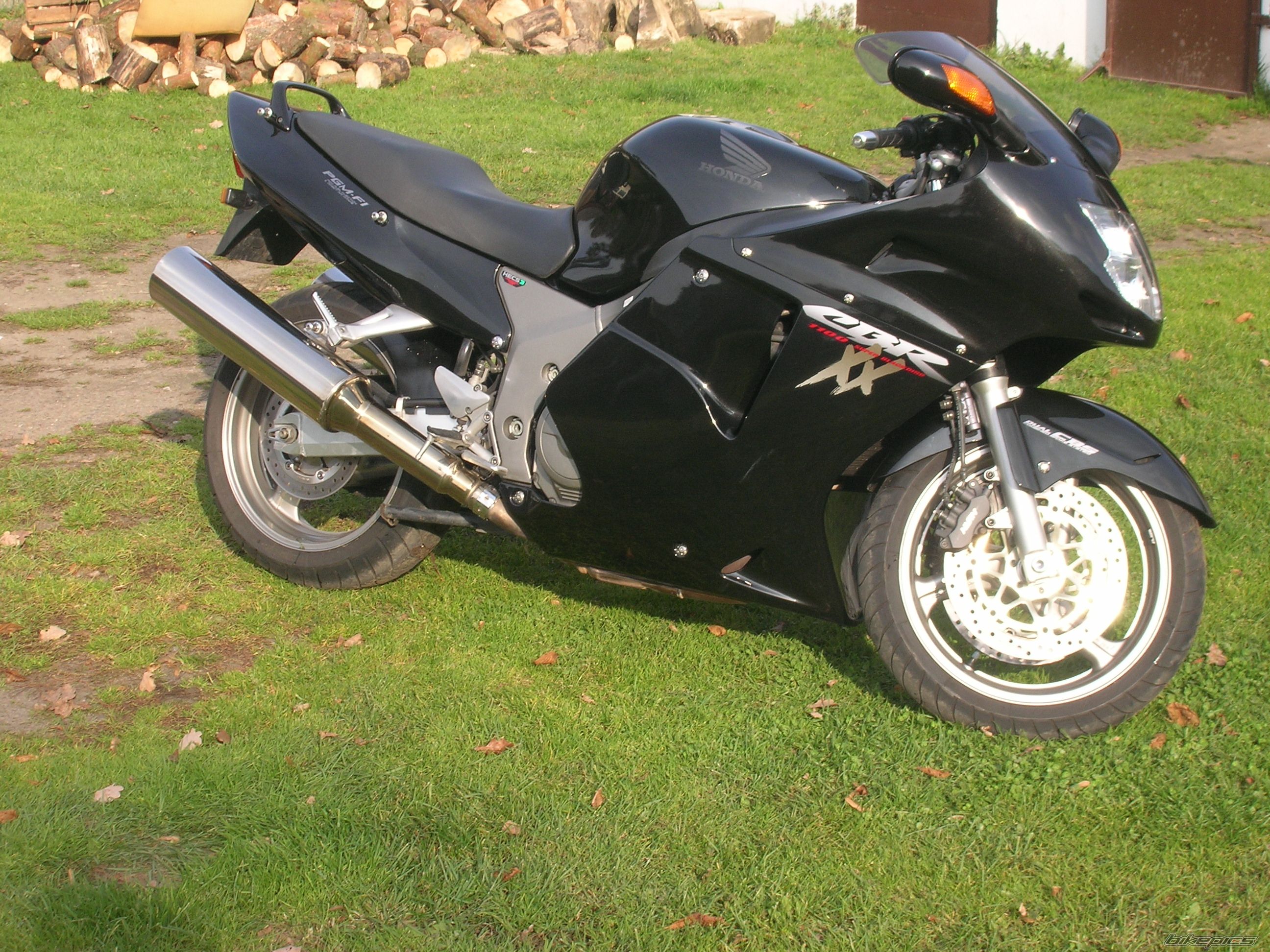 Photo 1075740