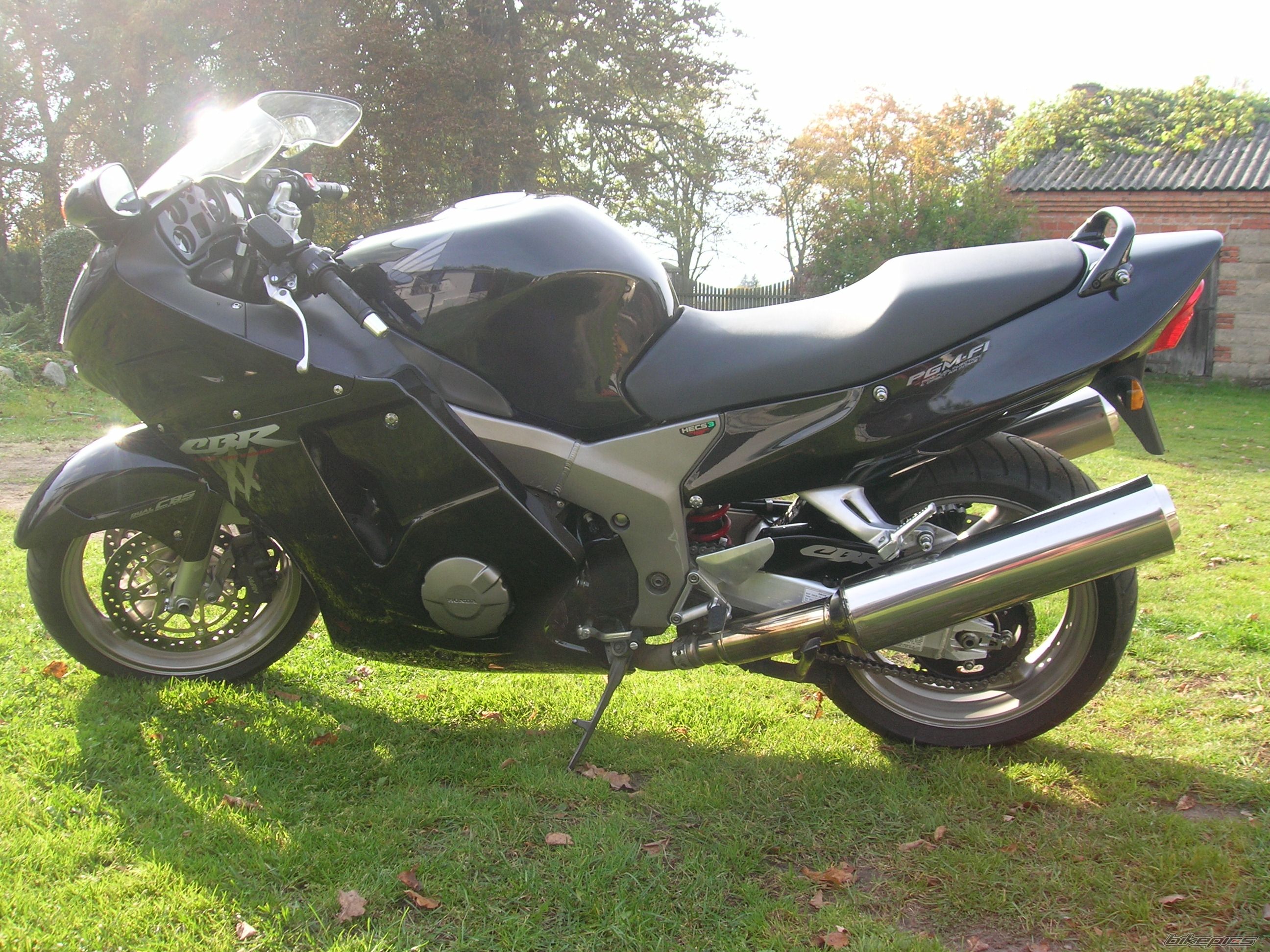 Photo 1075747