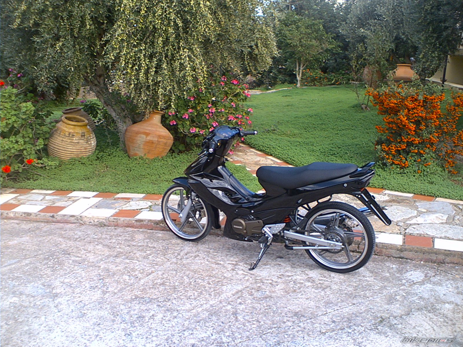 Photo 1075776