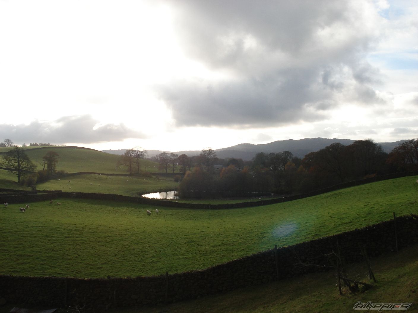 Photo 1075782