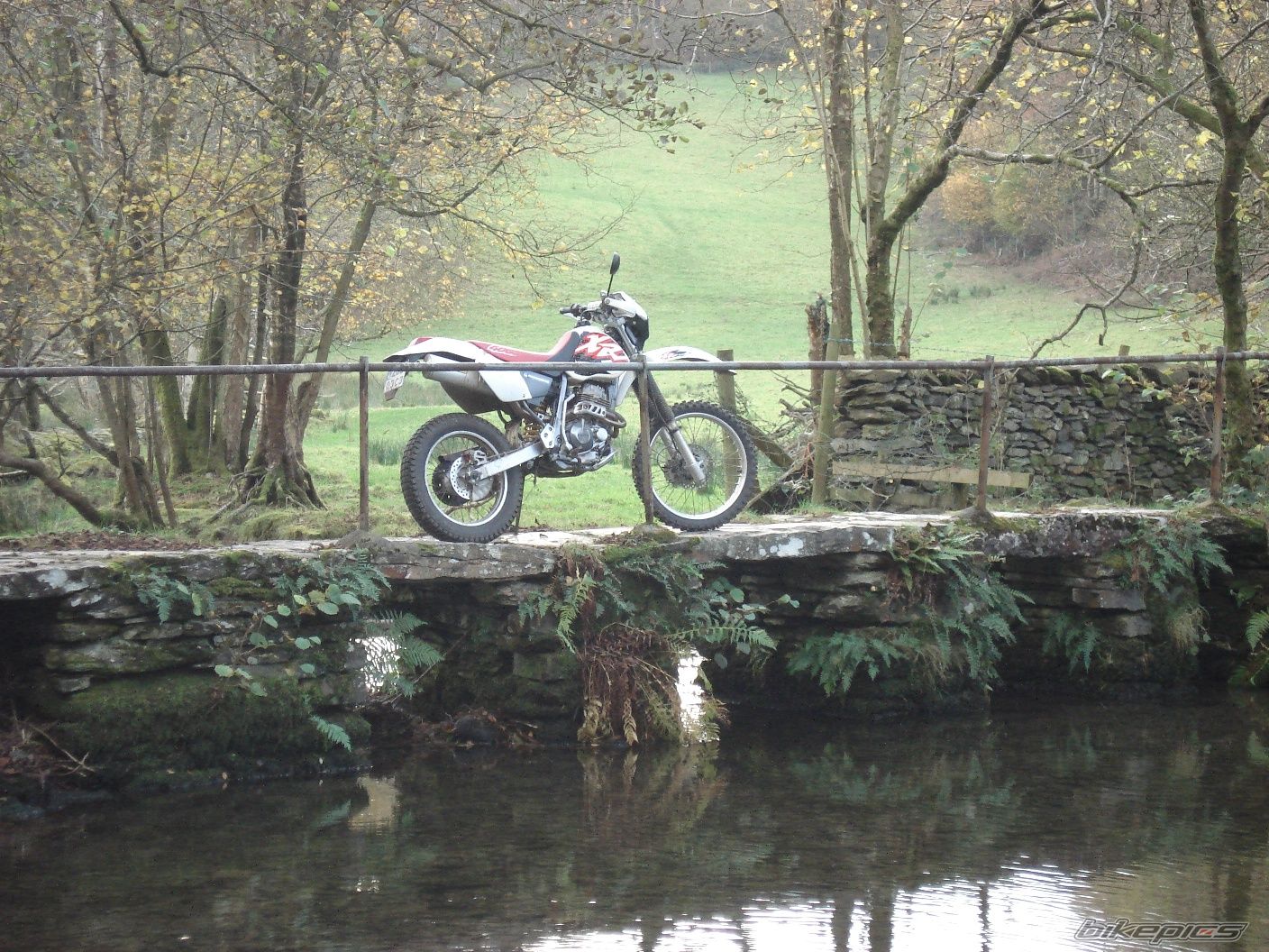 Photo 1075791