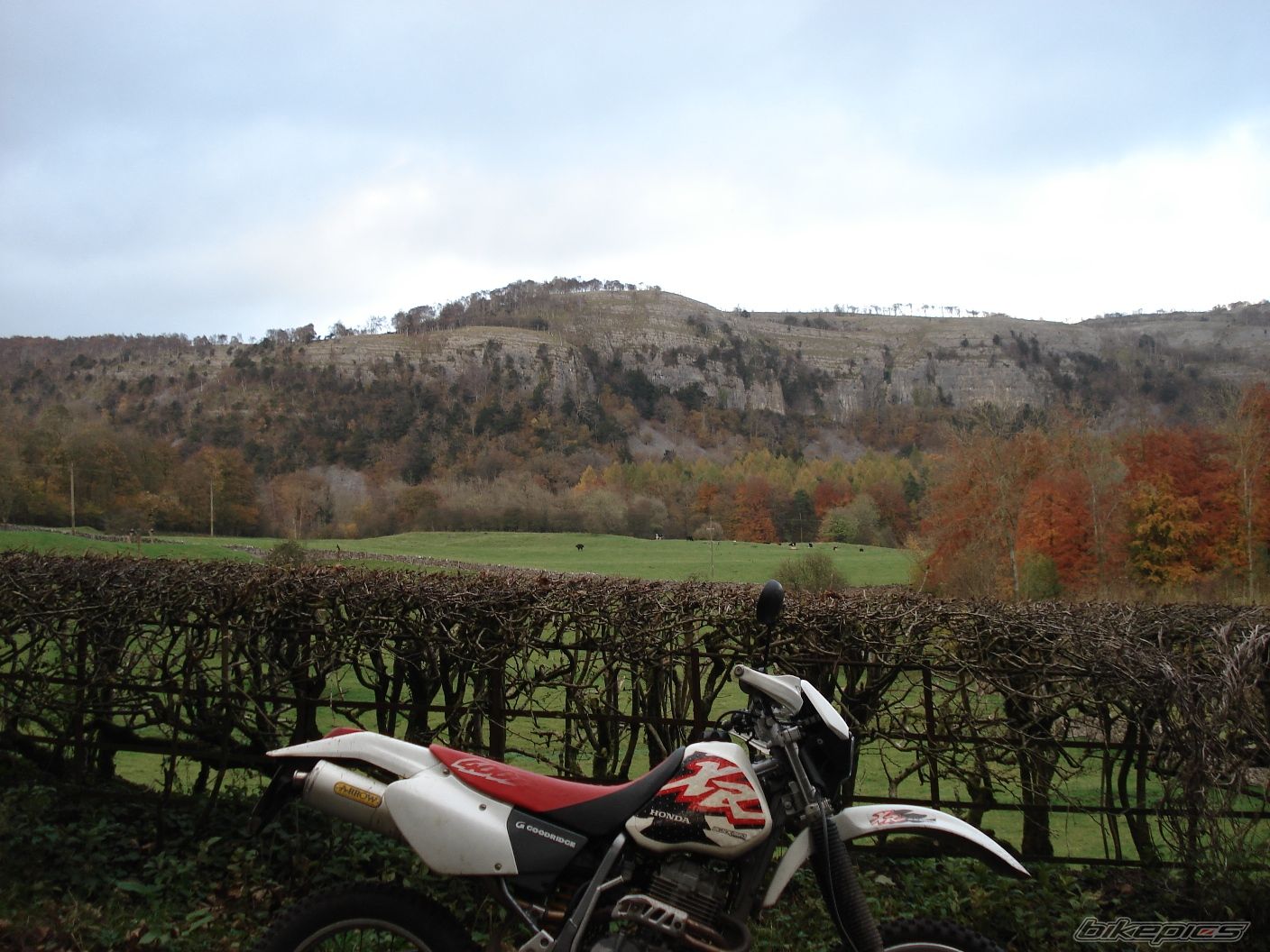 Photo 1075801