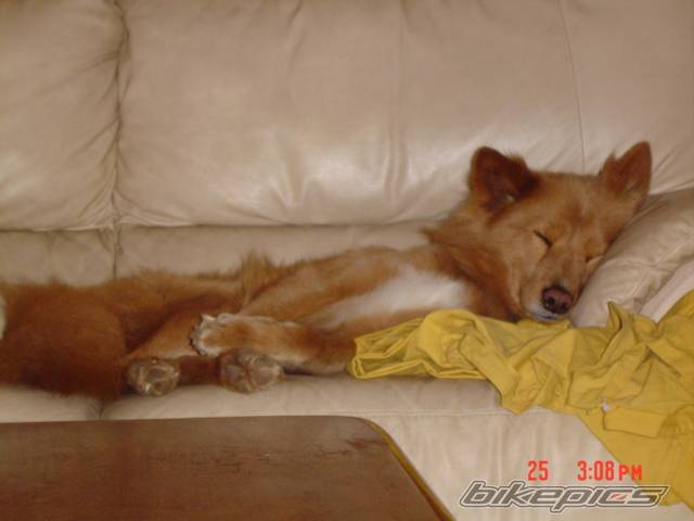 Photo 107597