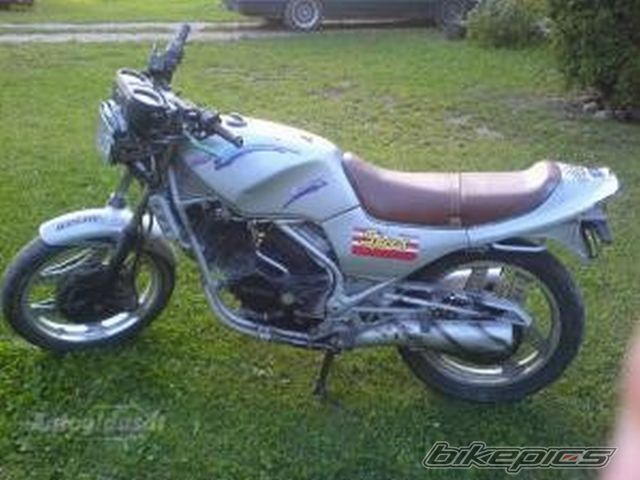 Photo 1076068