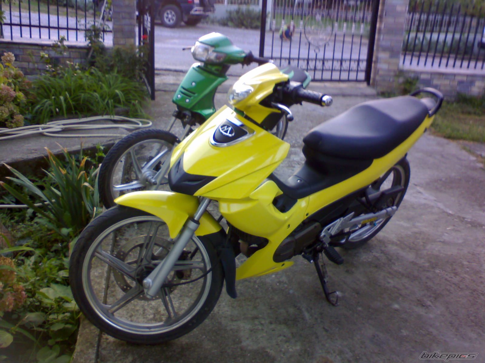Photo 1076106