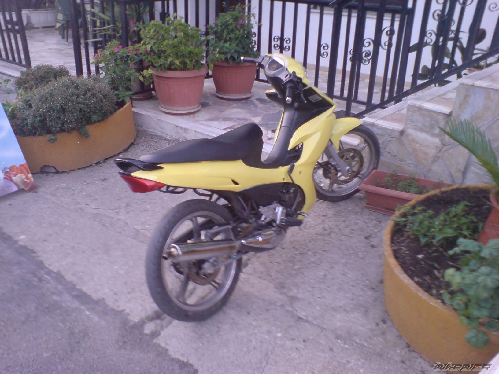 Photo 1076108