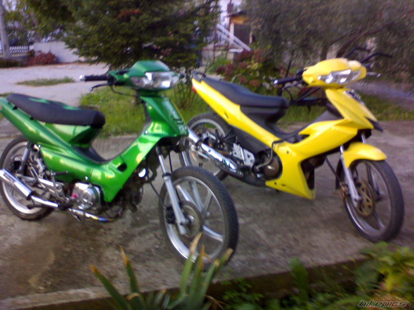 Photo 1076121