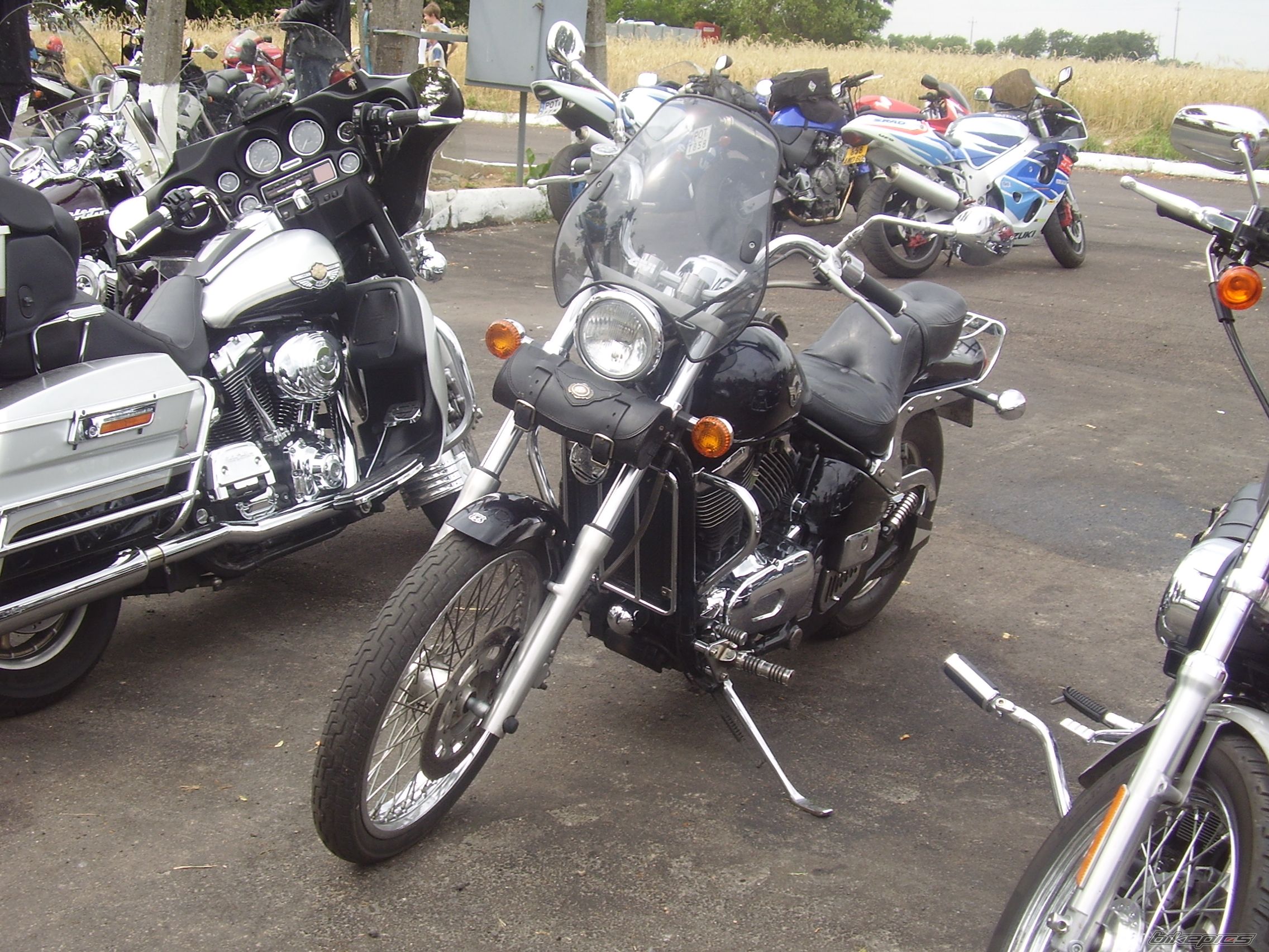Photo 1076198