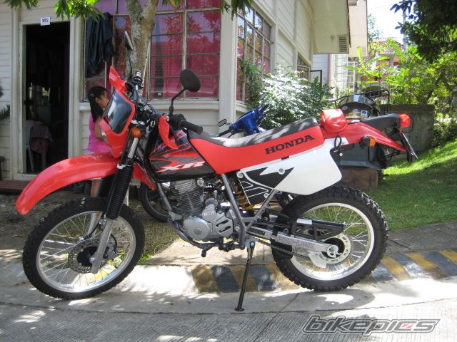 Photo 1076202