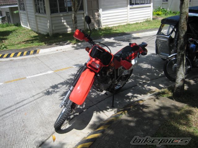 Photo 1076204