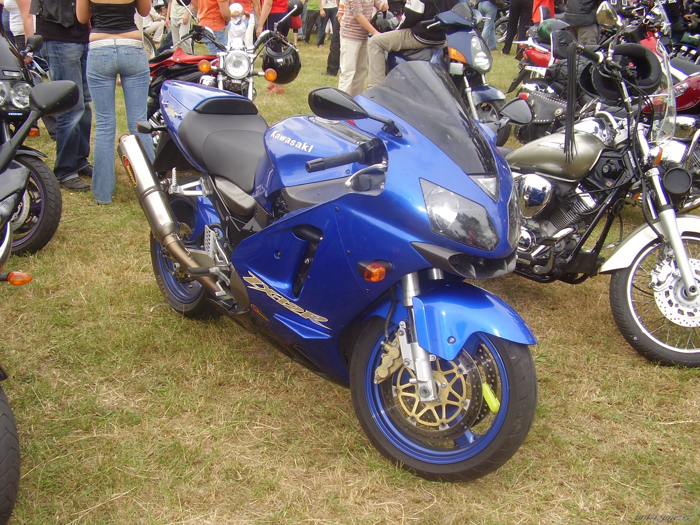 Photo 1076208