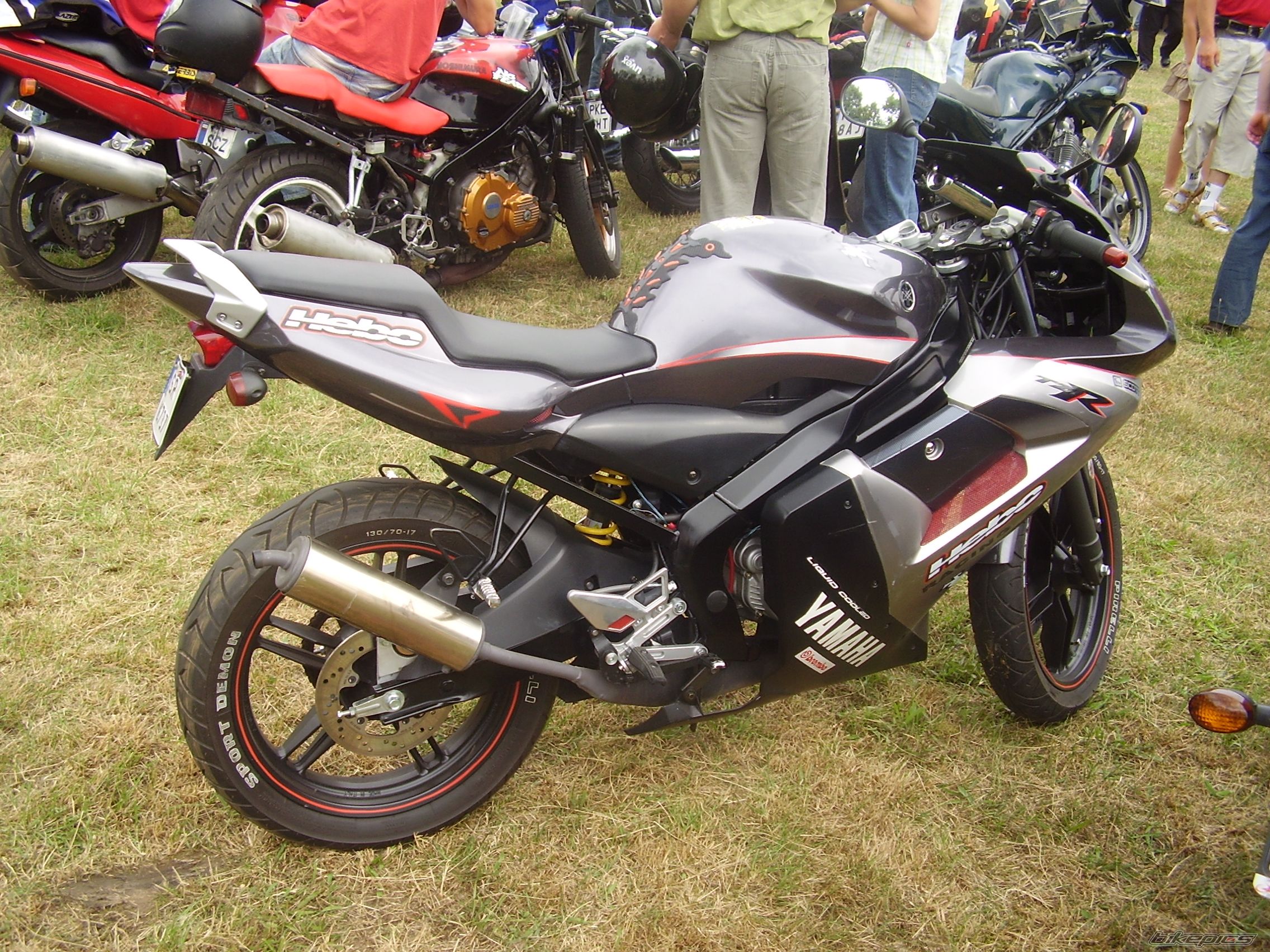 Photo 1076238