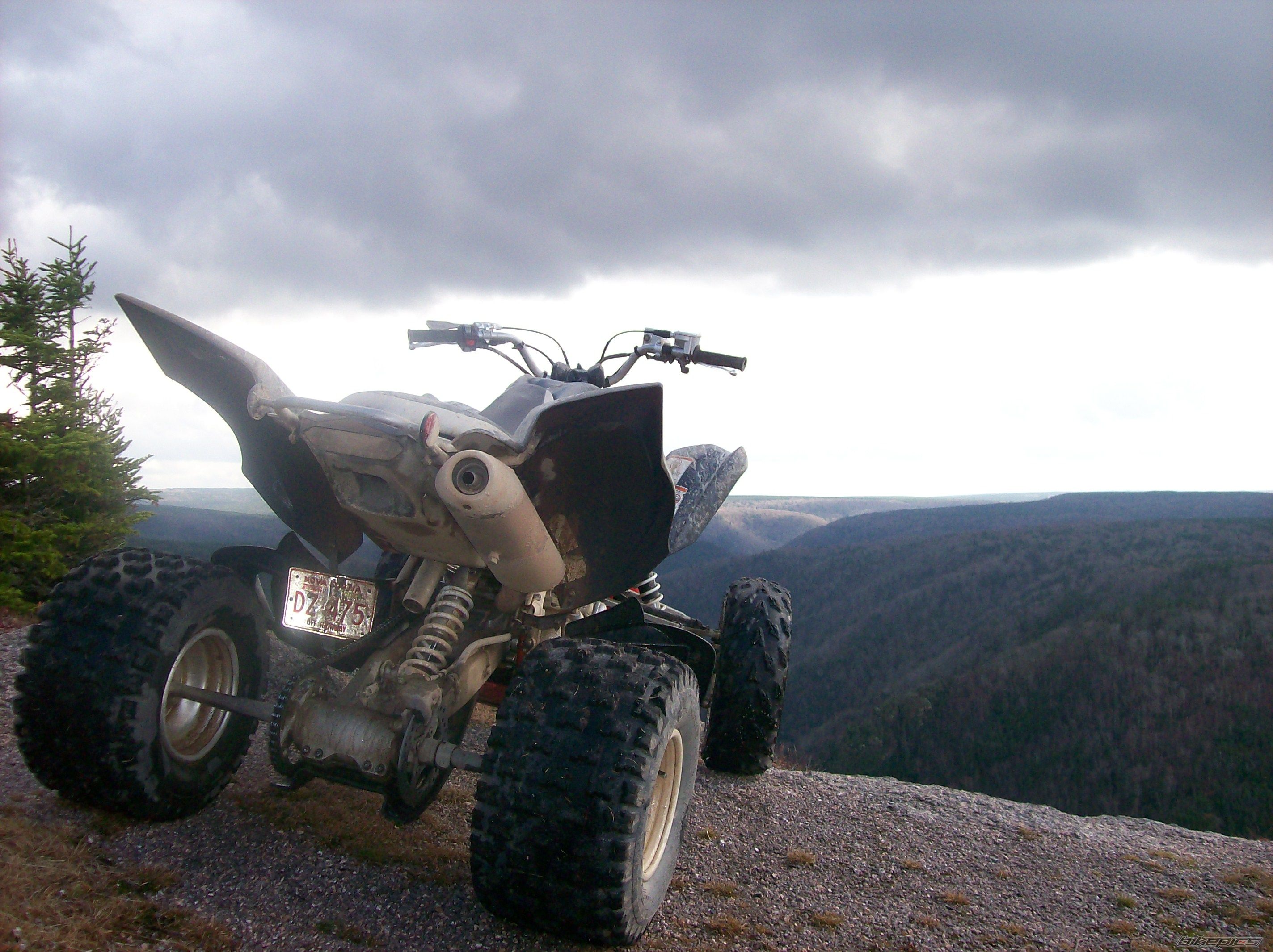 Photo 1076259