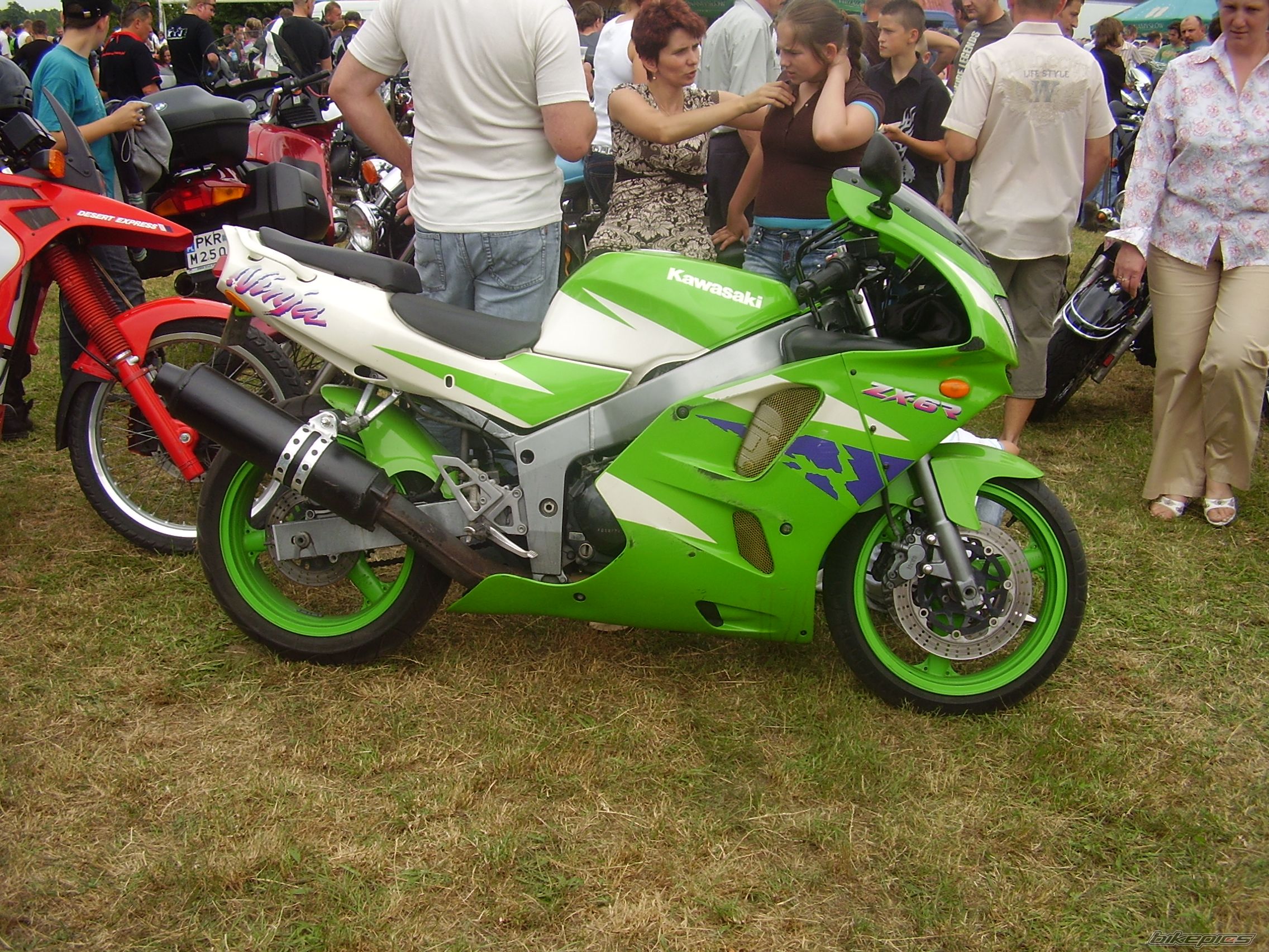 Photo 1076283