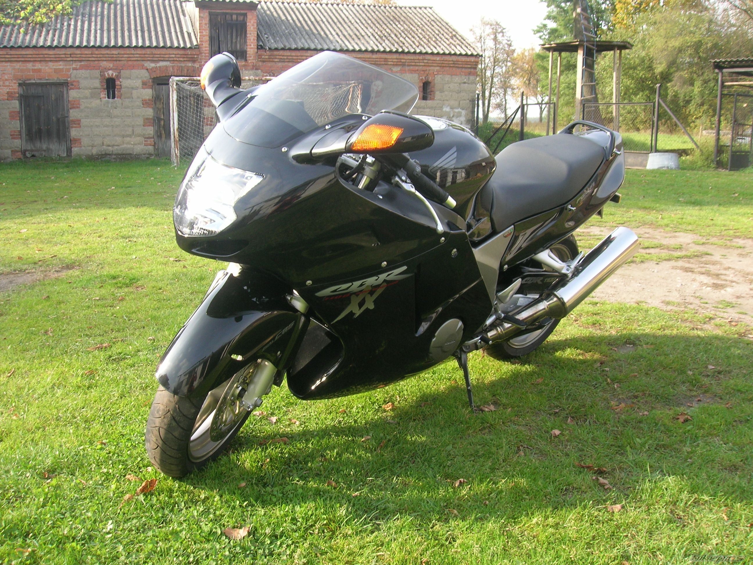 Photo 1076350