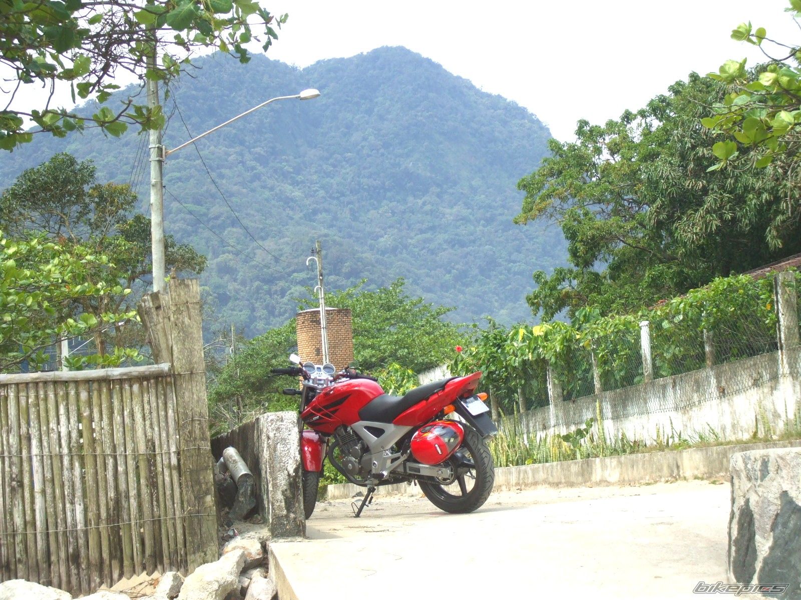 Photo 1076355